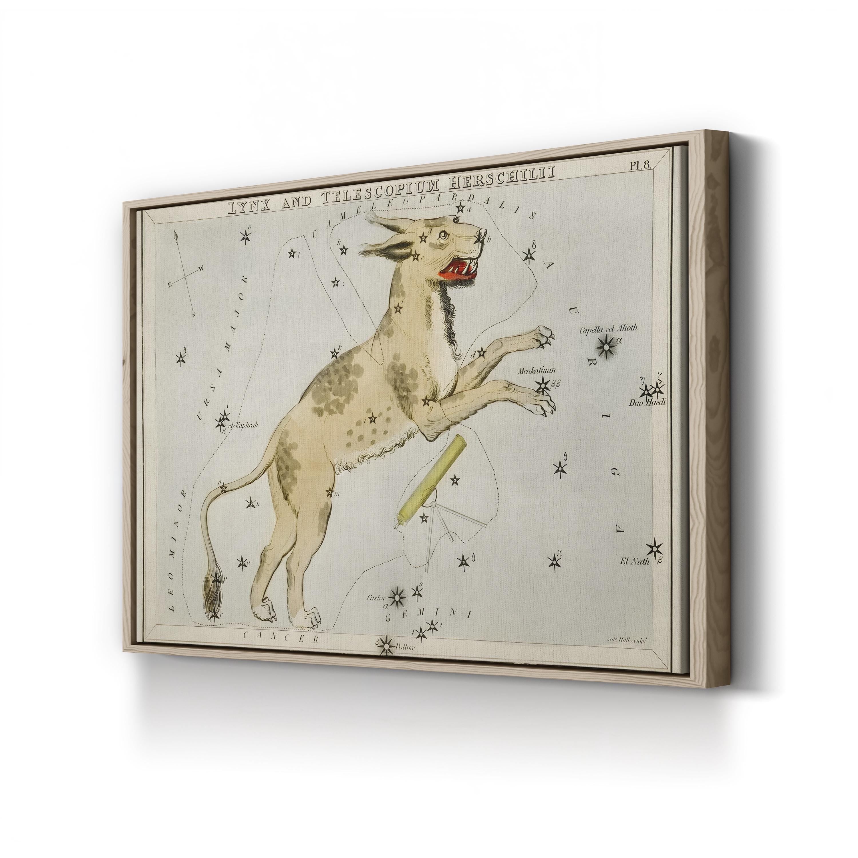 Hall’s Astronomical Illustrations XI Wall Art by Sidney Hall