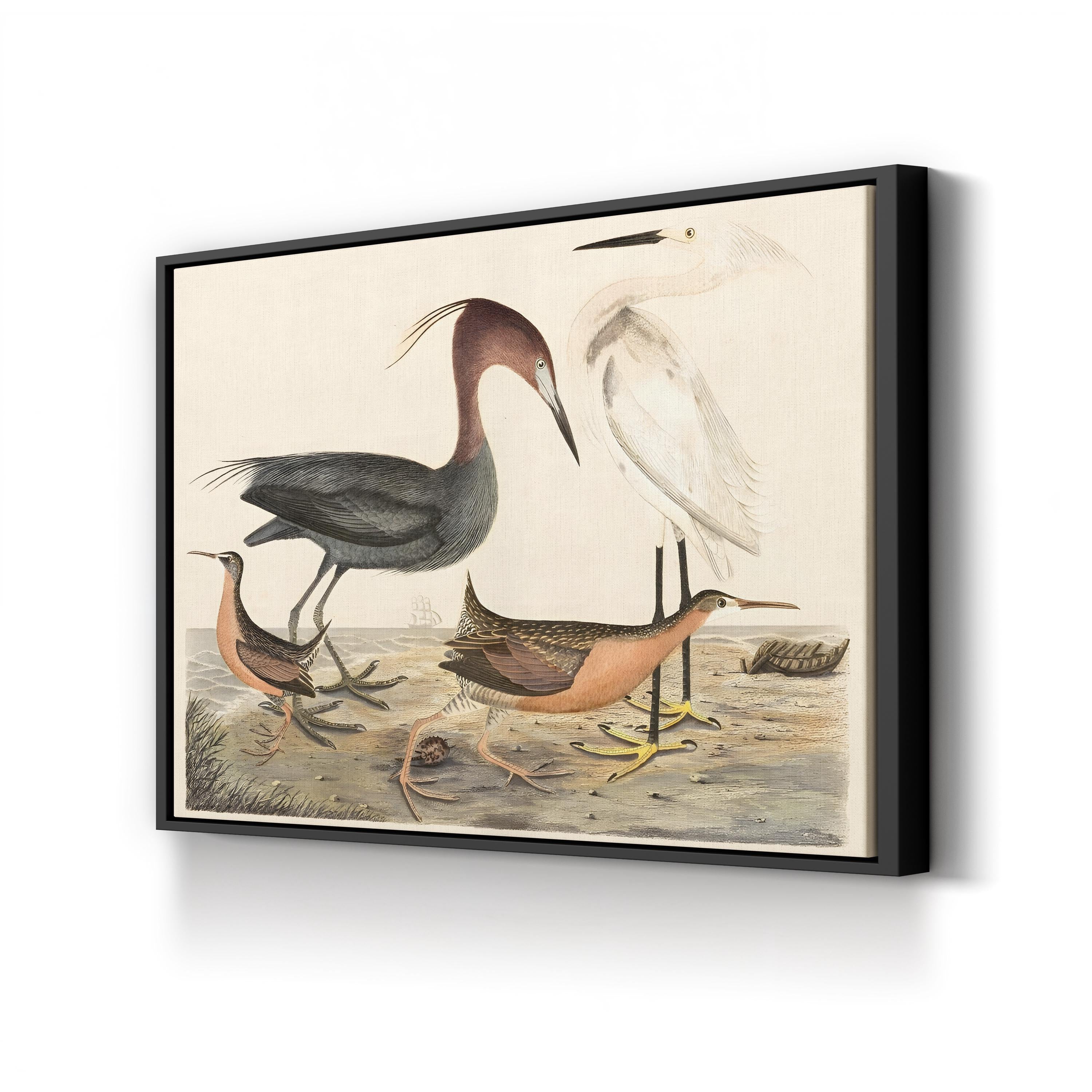 Heron Family – Alexander Wilson Wall Art | Coastal Bird Canvas Print