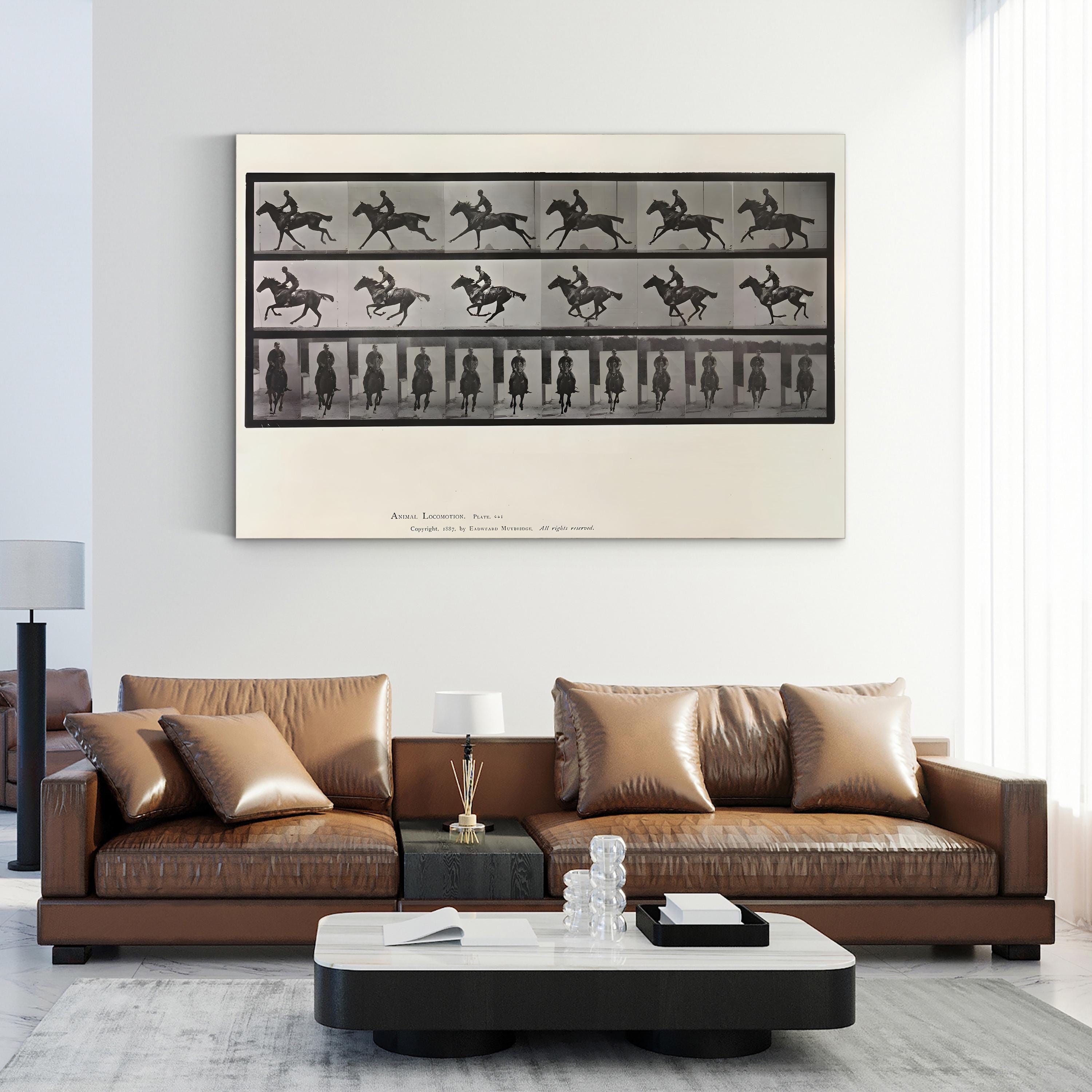 Galloping Horse Motion Study – Eadweard Muybridge Wall Art | Black & White Canvas Print