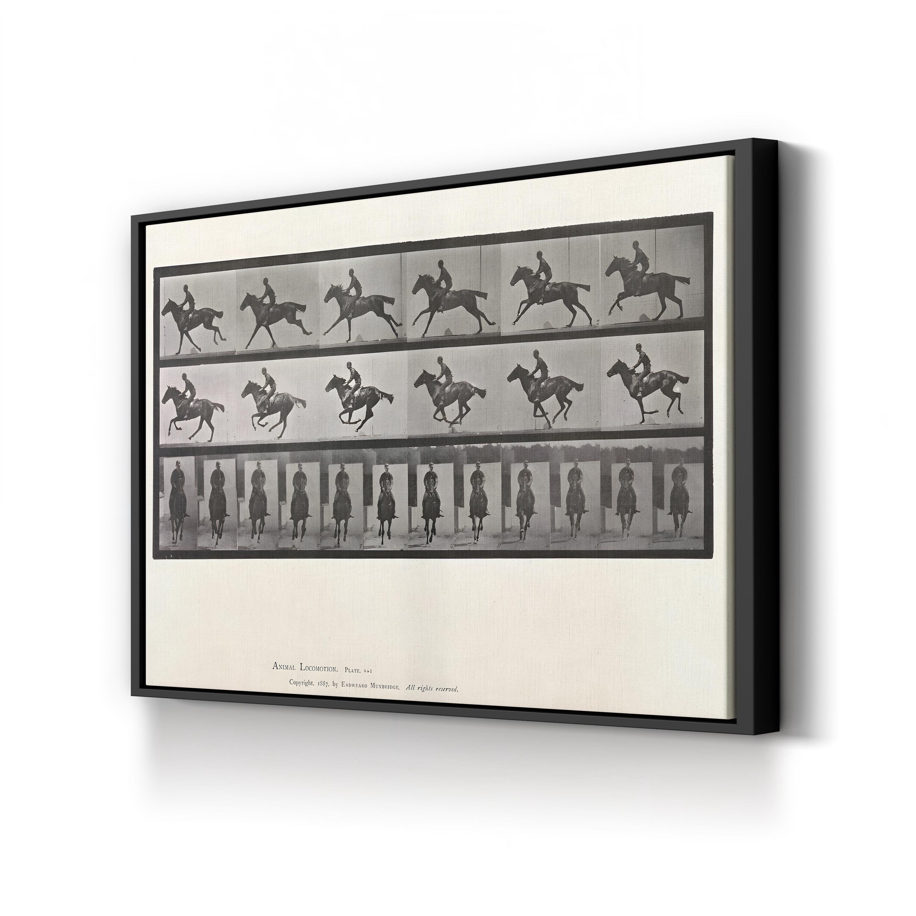 Galloping Horse Motion Study – Eadweard Muybridge Wall Art | Black & White Canvas Print