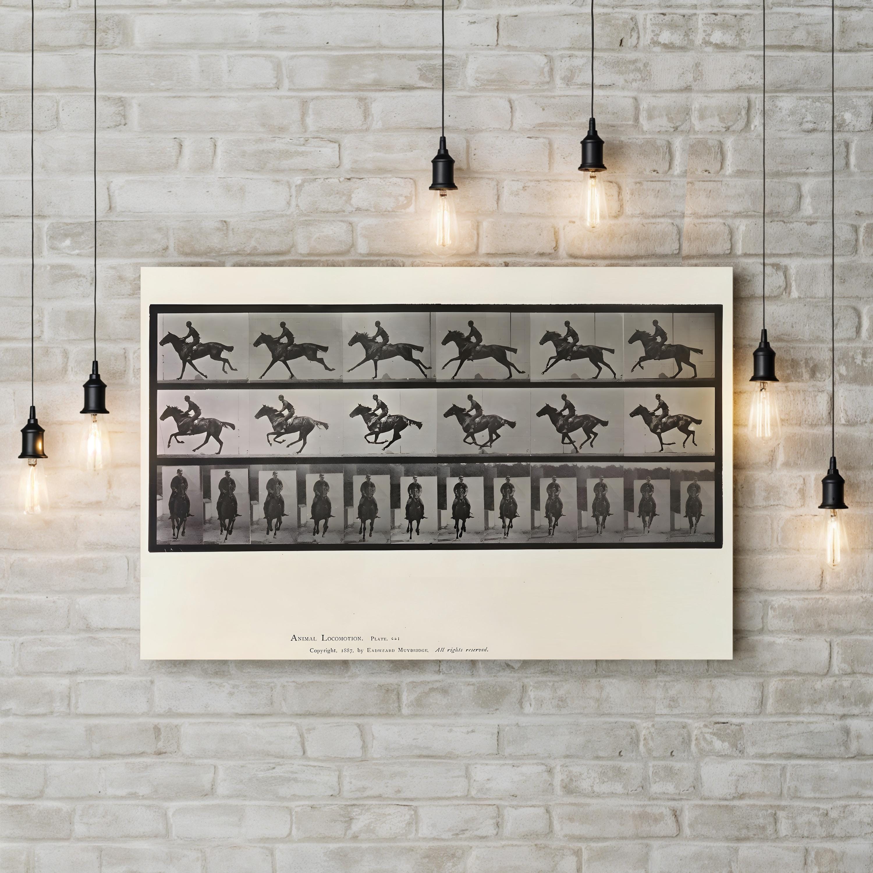 Galloping Horse Motion Study – Eadweard Muybridge Wall Art | Black & White Canvas Print
