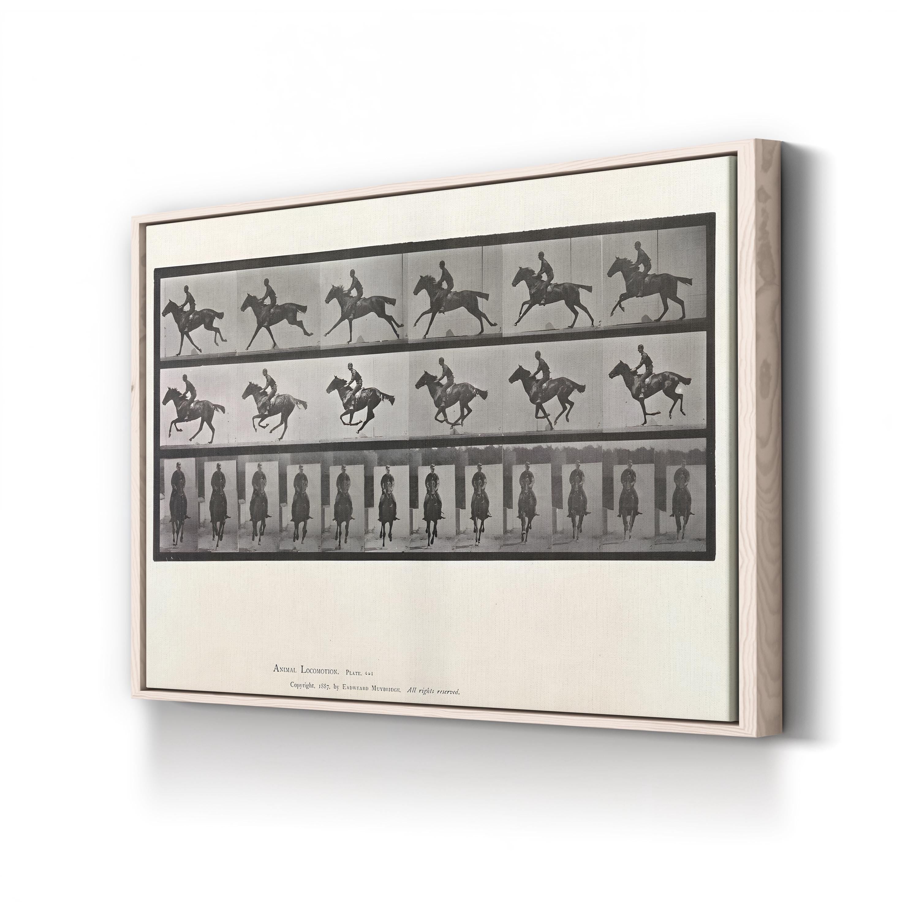 Galloping Horse Motion Study – Eadweard Muybridge Wall Art | Black & White Canvas Print