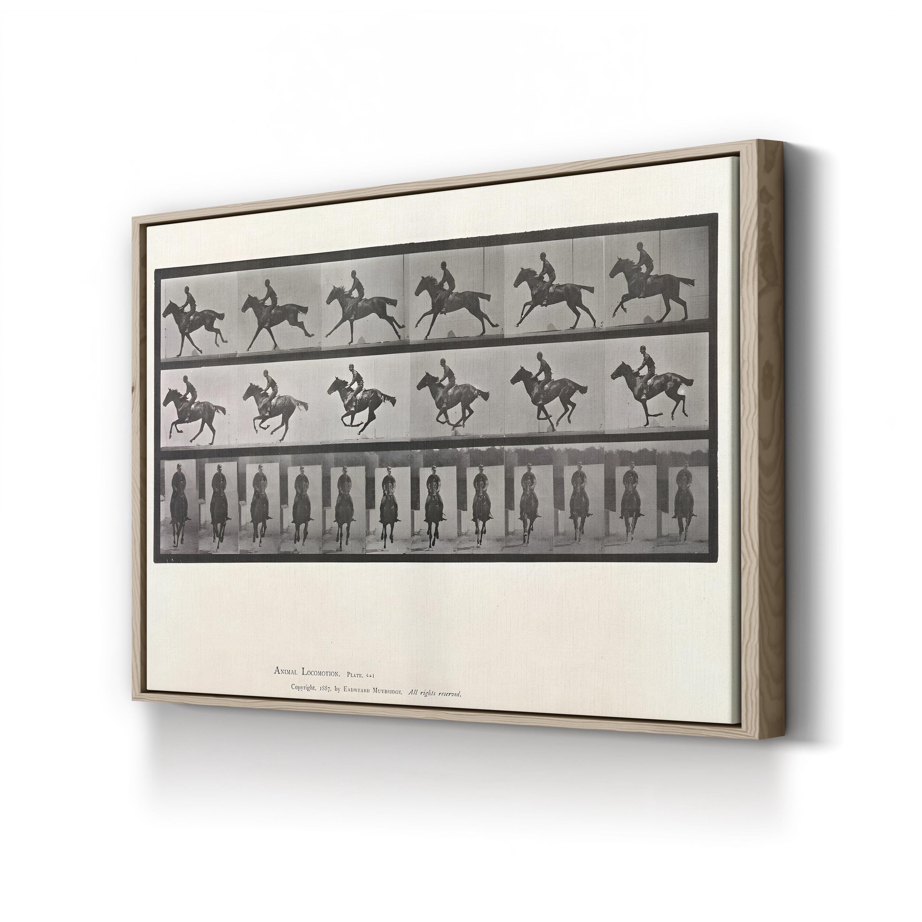 Galloping Horse Motion Study – Eadweard Muybridge Wall Art | Black & White Canvas Print