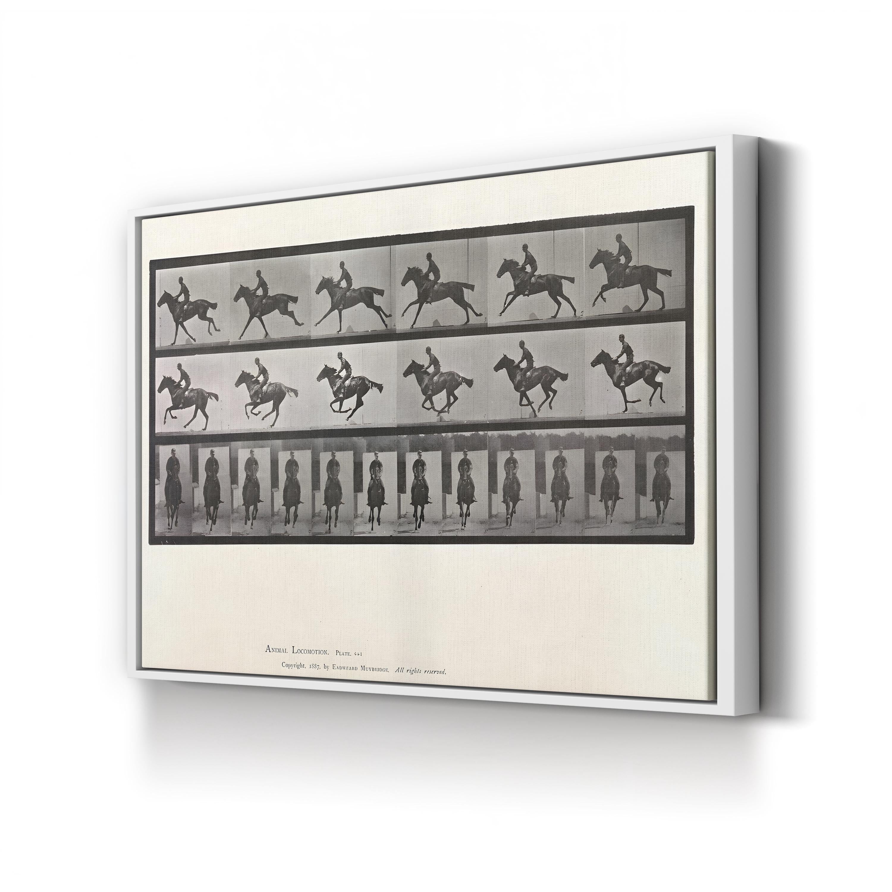 Galloping Horse Motion Study – Eadweard Muybridge Wall Art | Black & White Canvas Print