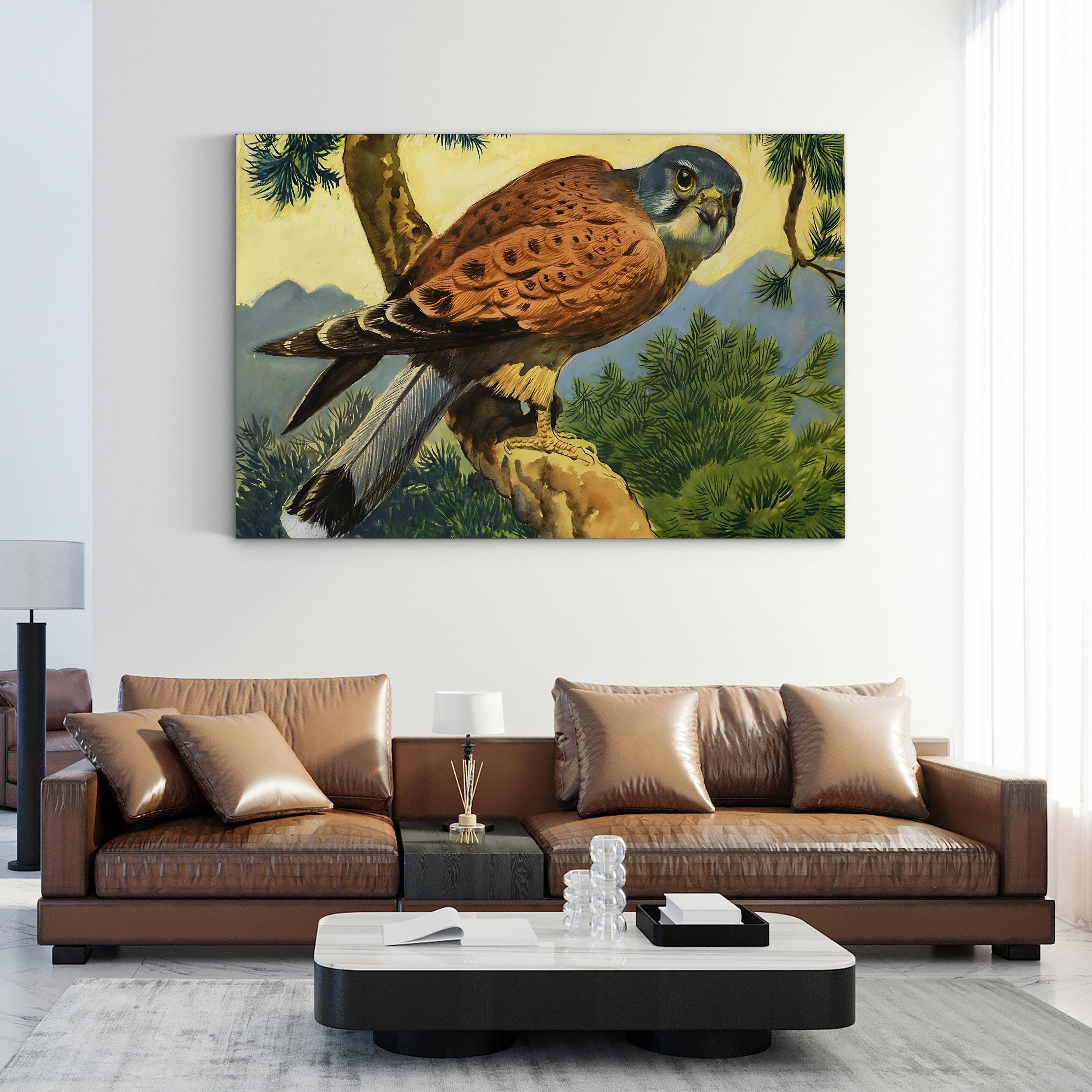 Kestrel Falcon, 1966 – Period Illustration Wall Art | Wildlife Canvas Print