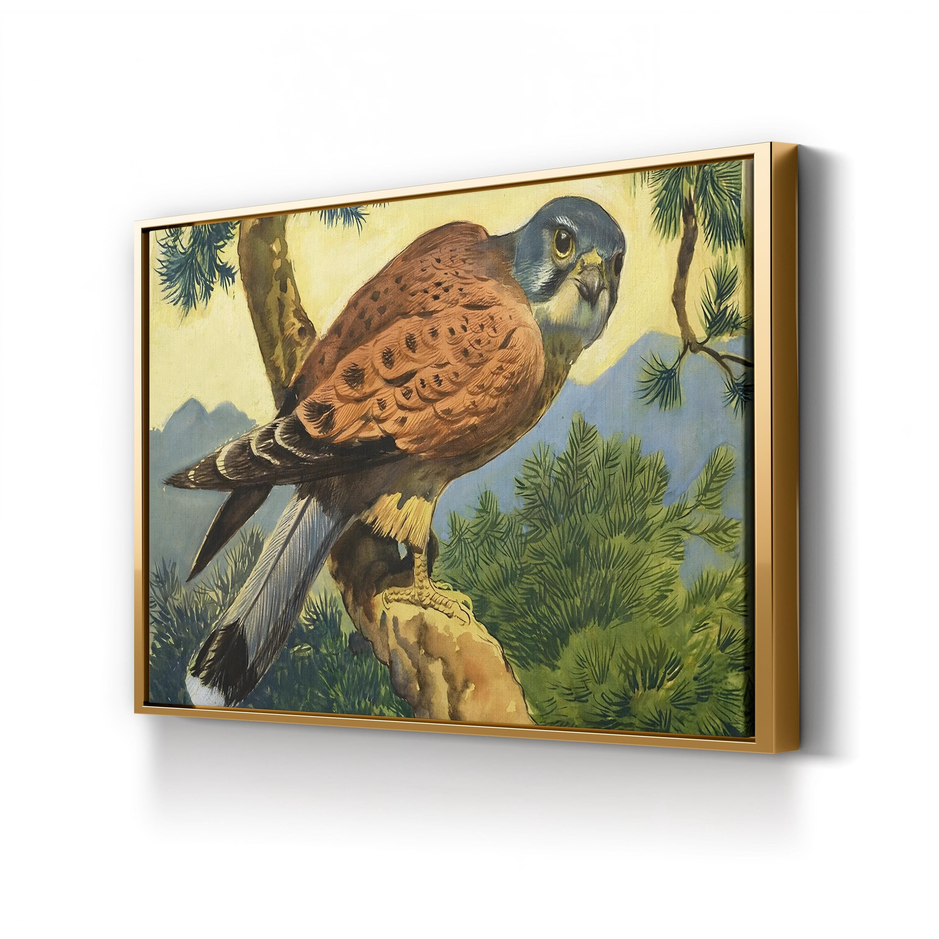 Kestrel Falcon, 1966 – Period Illustration Wall Art | Wildlife Canvas Print