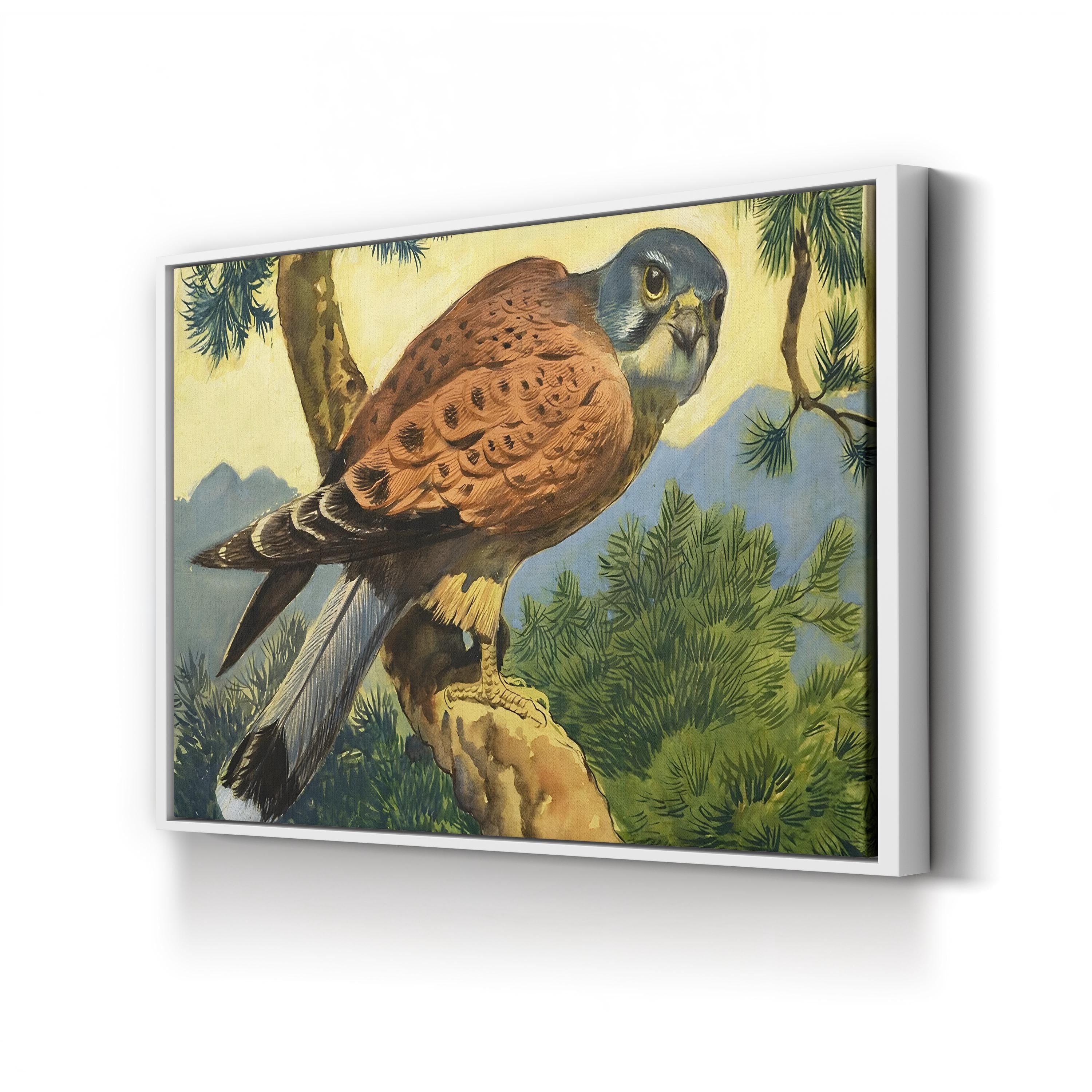 Kestrel Falcon, 1966 – Period Illustration Wall Art | Wildlife Canvas Print