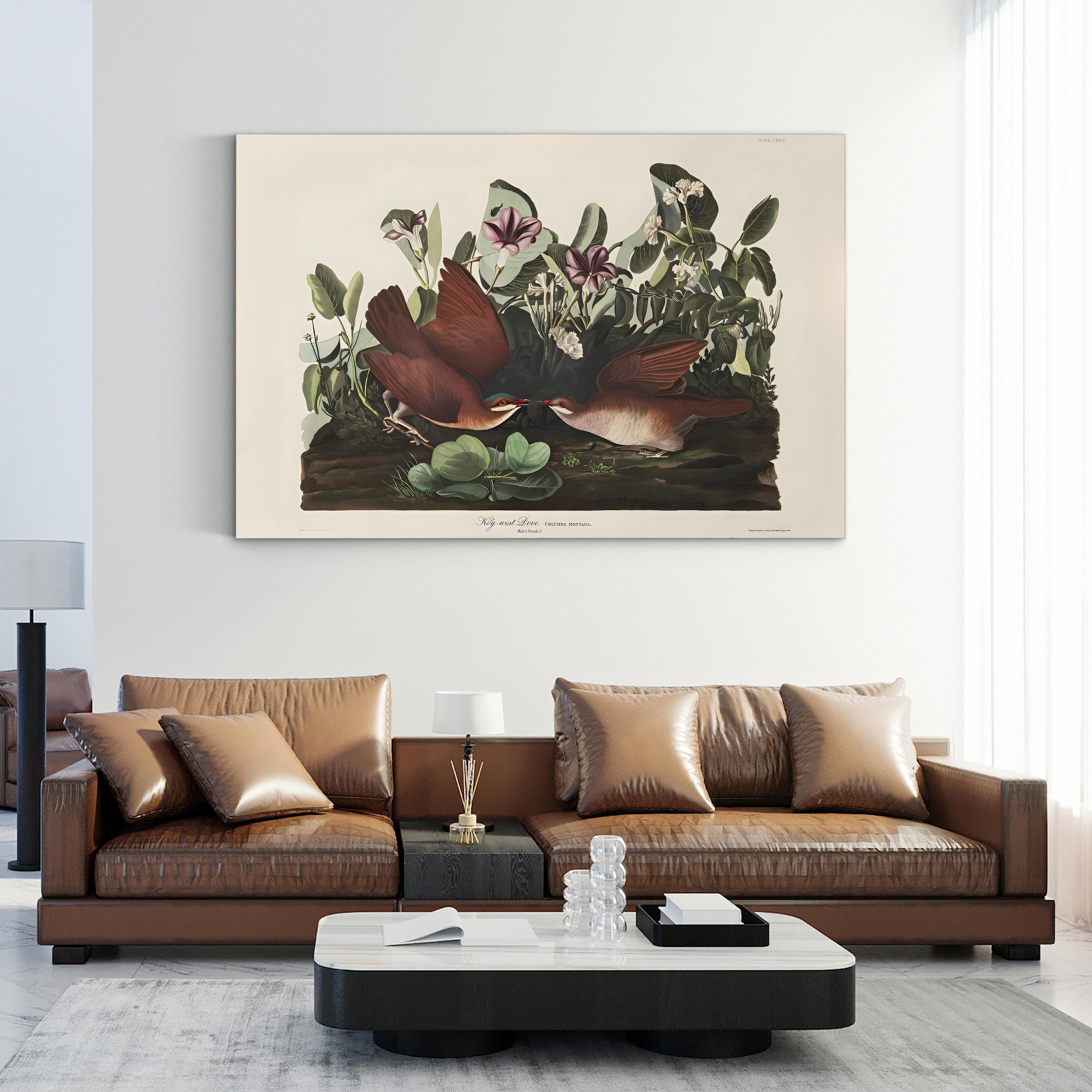 Key West Pigeon Wall Art by John James Audubon | Vintage American Bird Illustration Canvas