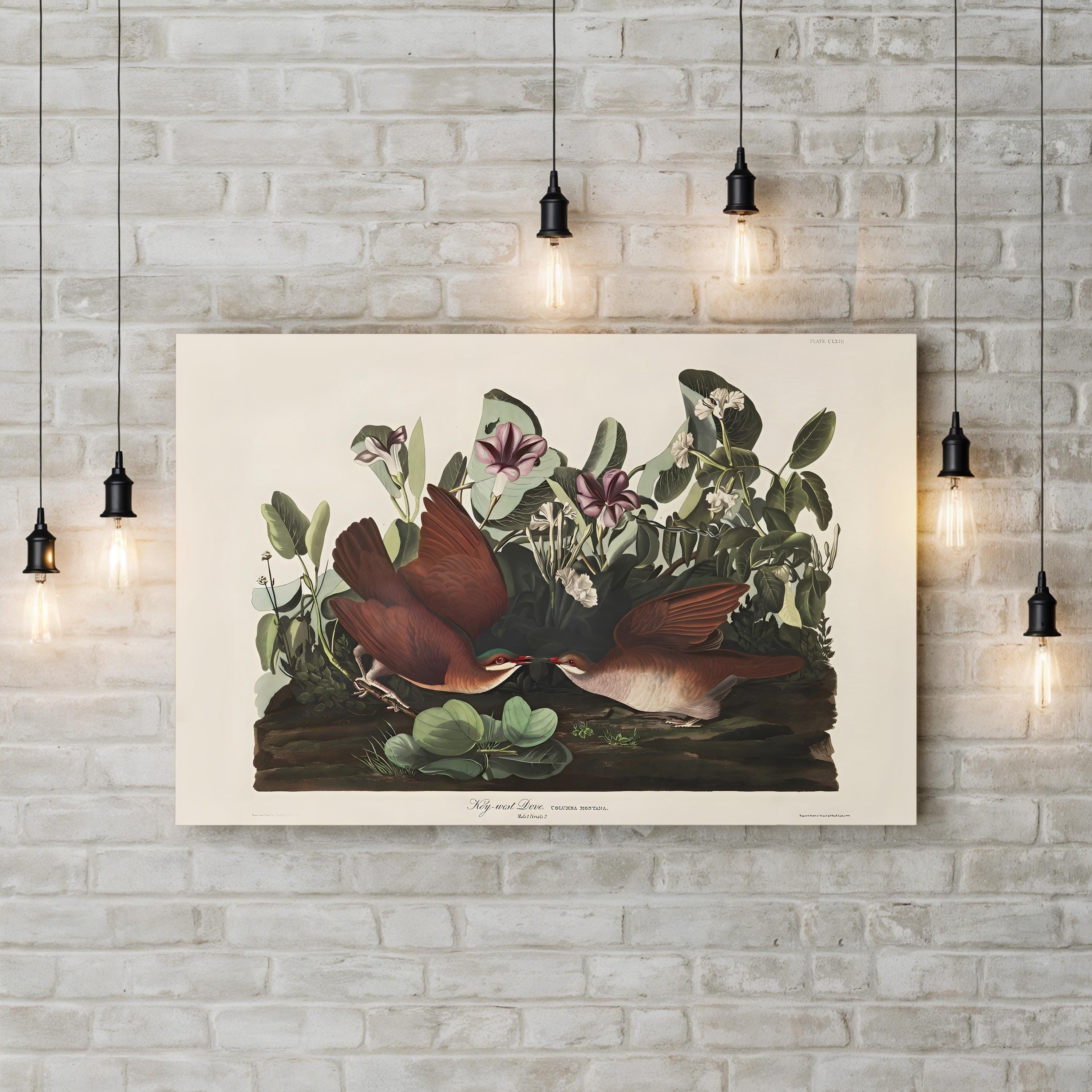 Key West Pigeon Wall Art by John James Audubon | Vintage American Bird Illustration Canvas
