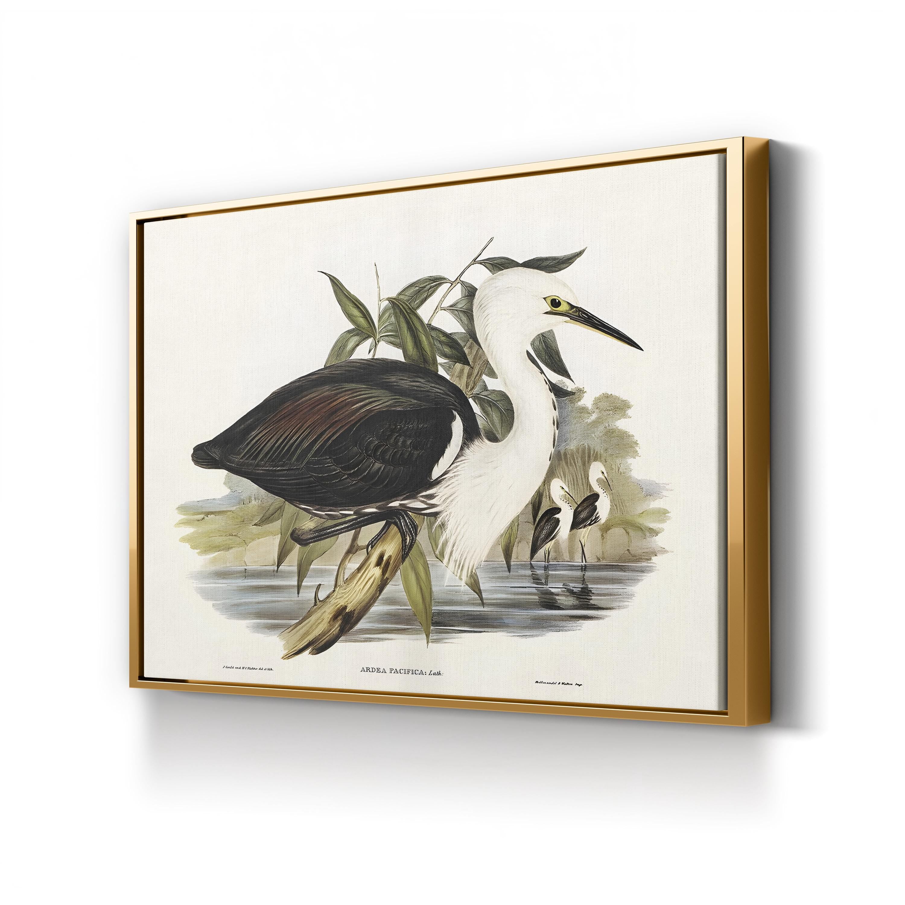 Majestic Waterbird V by Elizabeth Gould