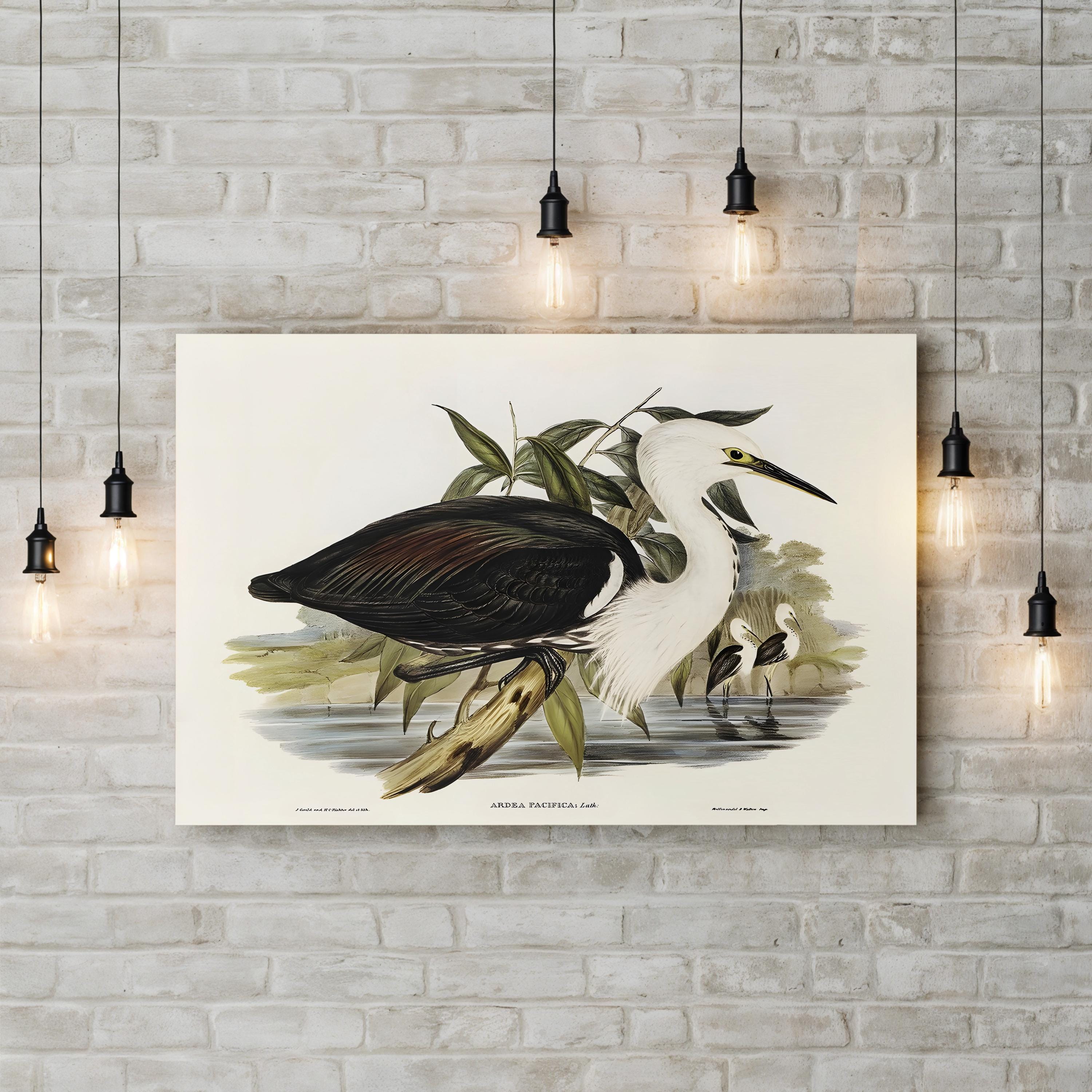 Majestic Waterbird V by Elizabeth Gould