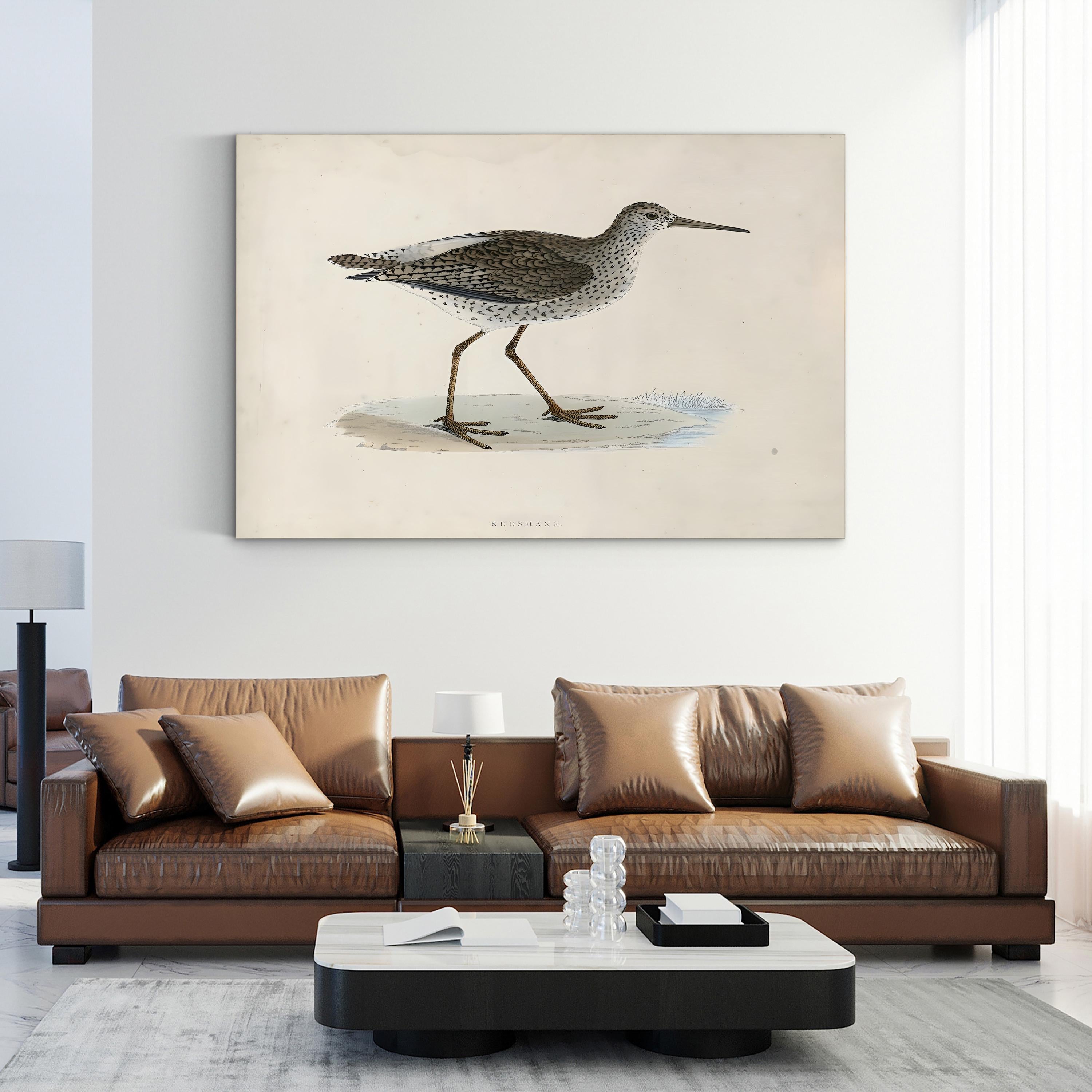 Vintage Sandpiper, Neutral Tones – Period Illustration Wall Art | Coastal Canvas Print