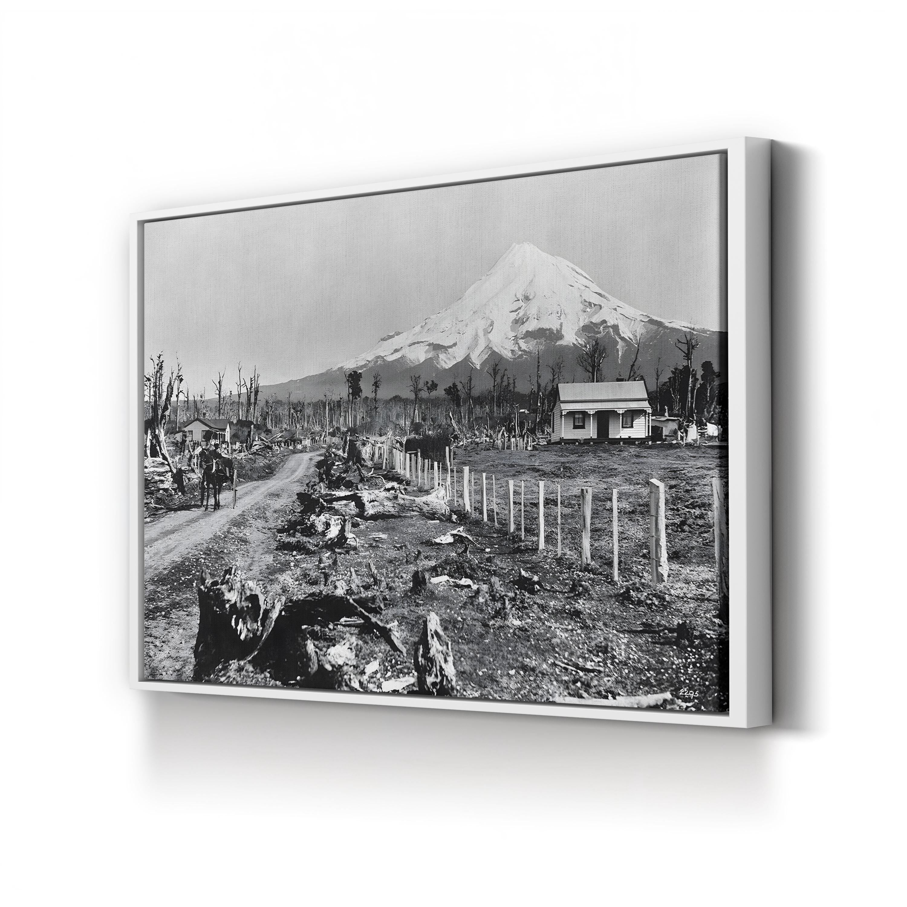 Mount Taranaki, New Zealand c.1910 – Vintage Photography Wall Art | Landscape Canvas Print
