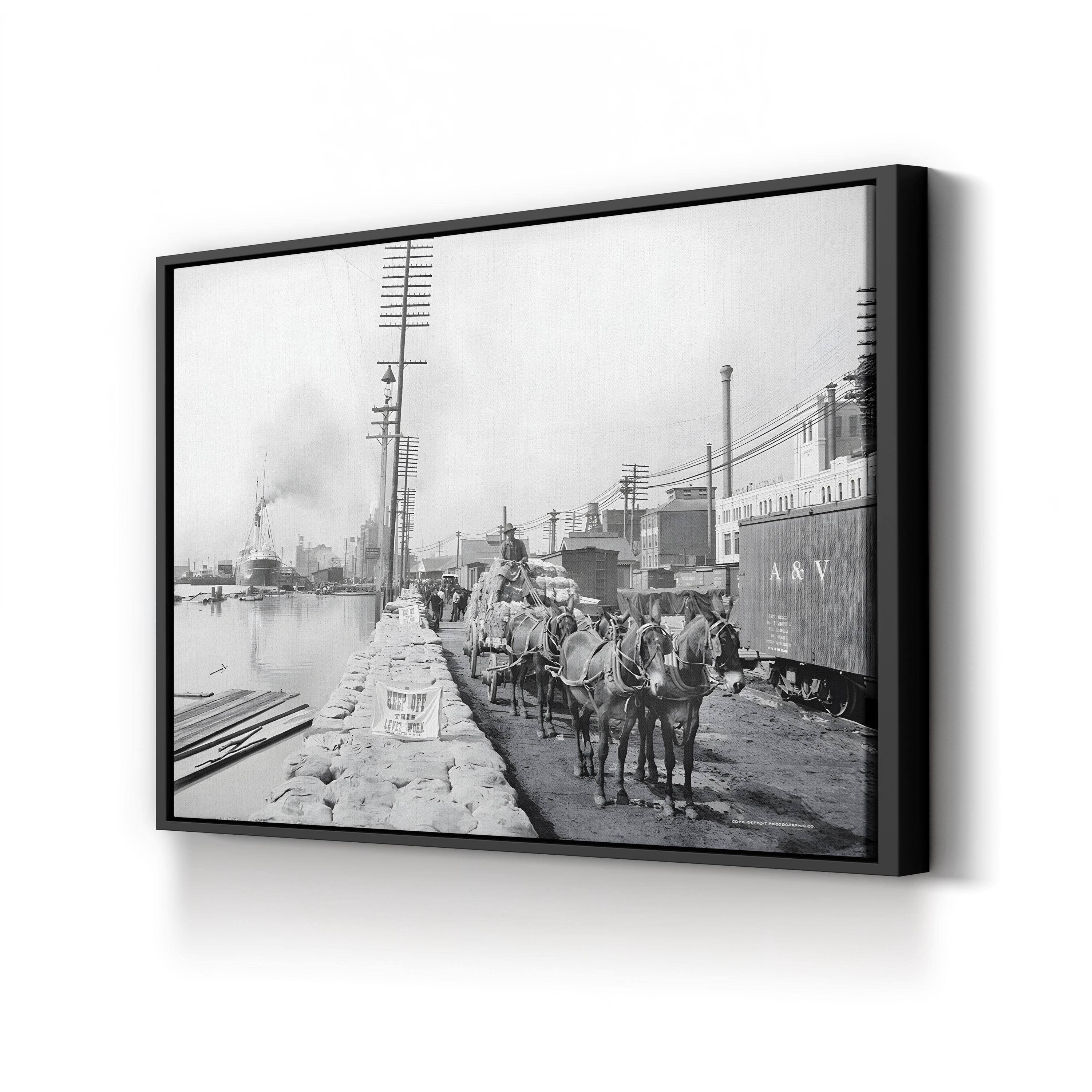 New Orleans Mule Team on the Levee, c. 1903 canvas print in a black frame
