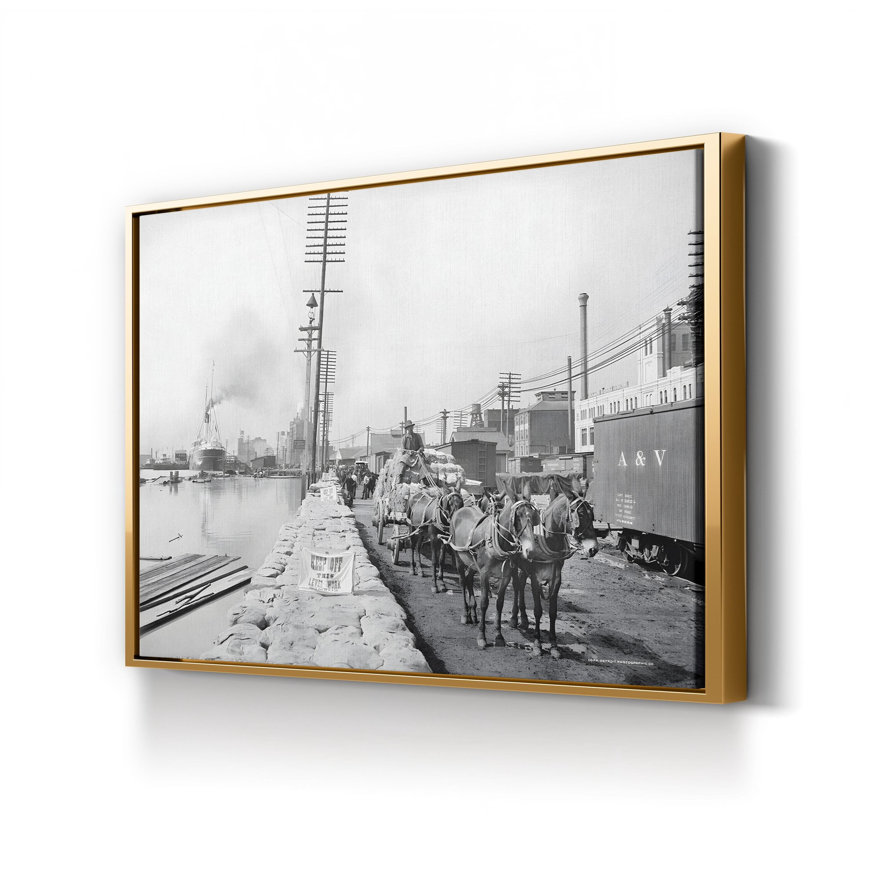 New Orleans Mule Team on the Levee, c. 1903 canvas print in a gold frame