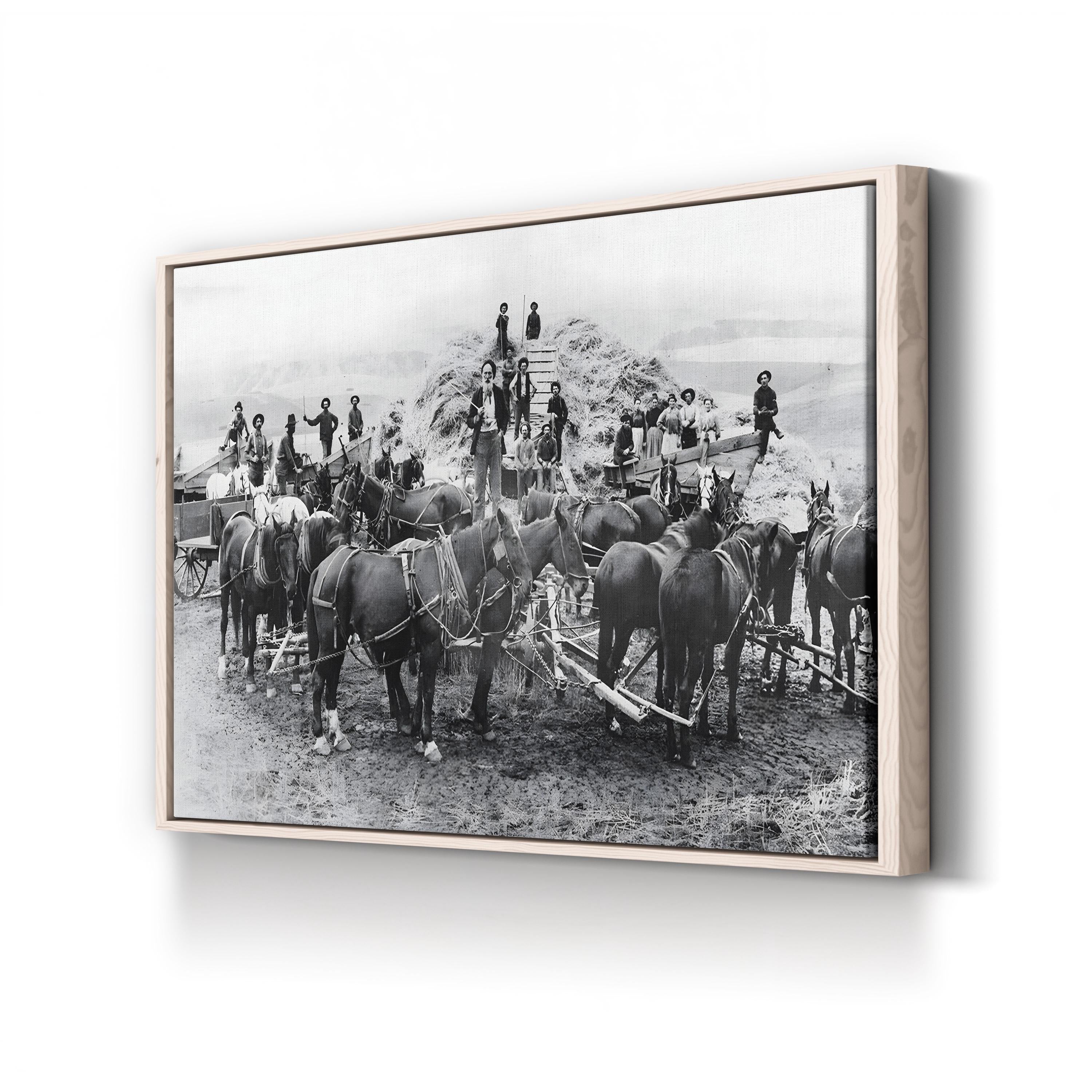 Oregon Wheat Harvest c.1880 – Vintage Photography Wall Art | Western Frontier Canvas Print