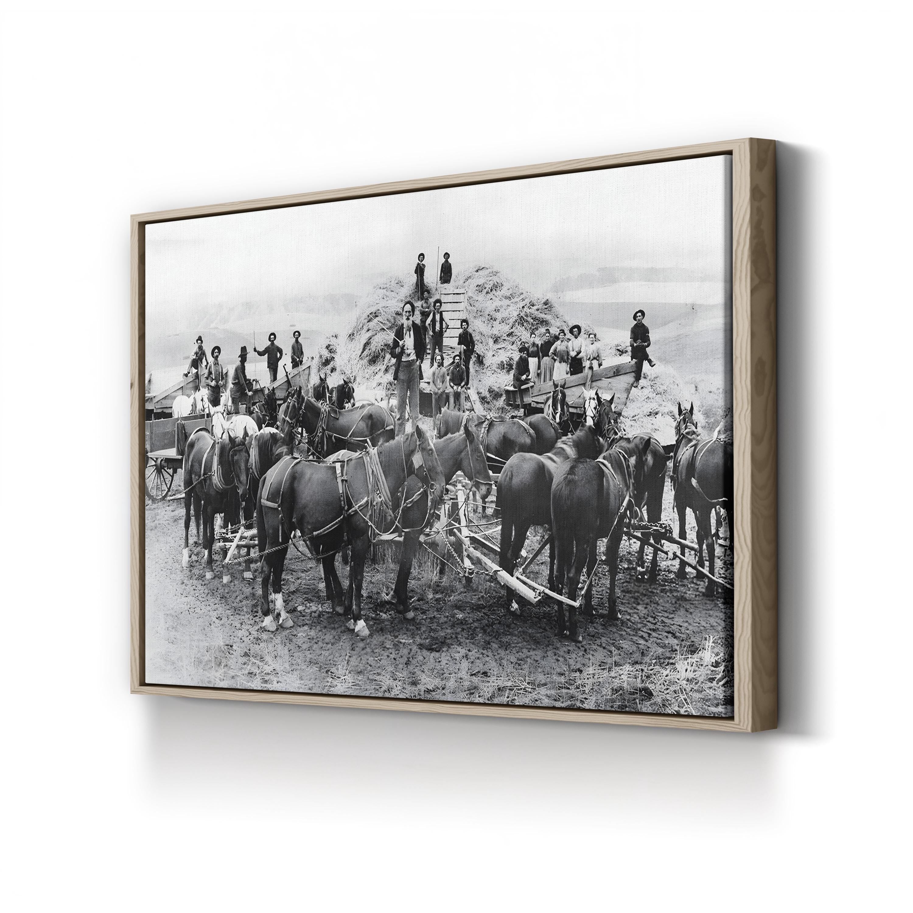 Oregon Wheat Harvest c.1880 – Vintage Photography Wall Art | Western Frontier Canvas Print