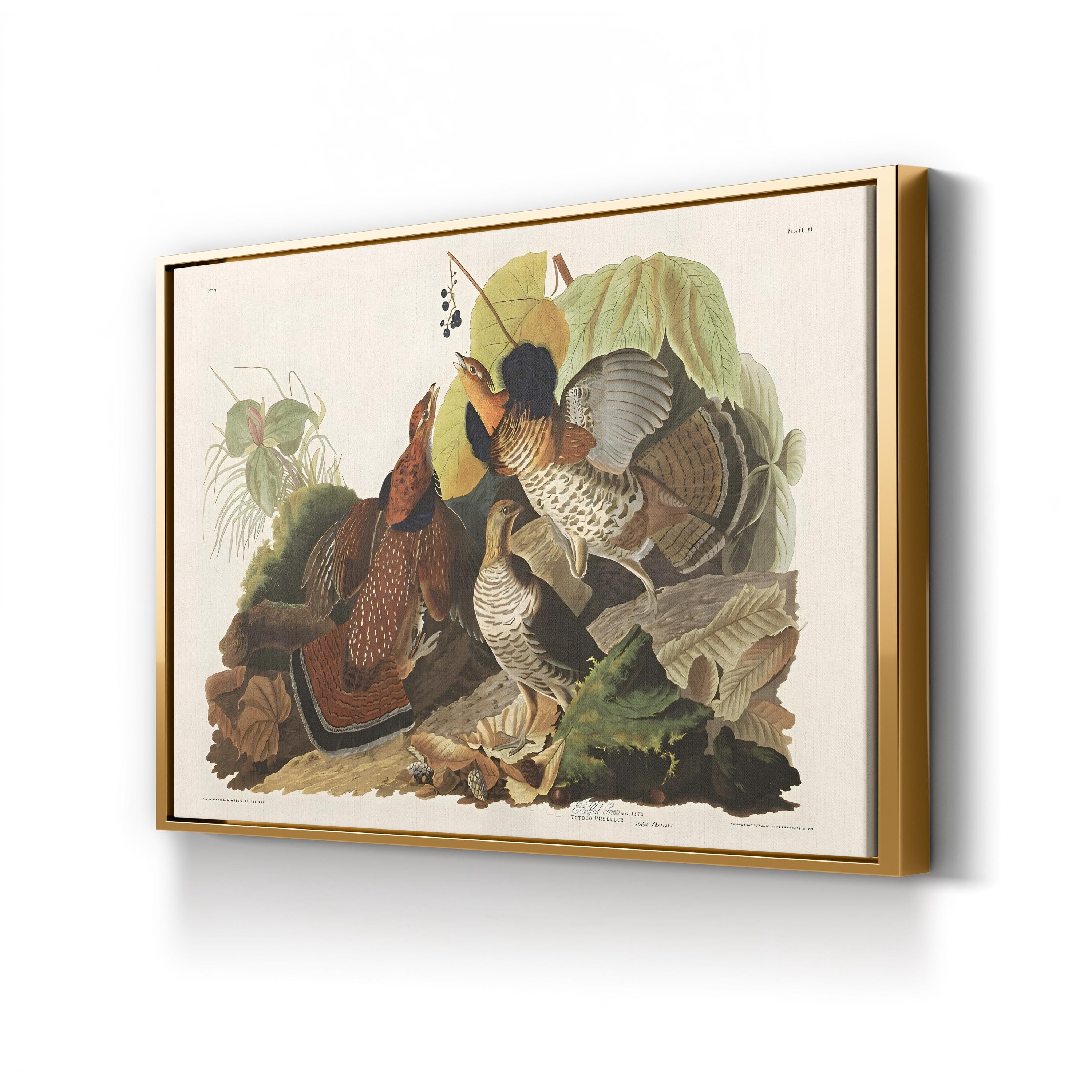 Ruffed Grouse Wall Art by John James Audubon – Classic Wildlife Illustration Canvas