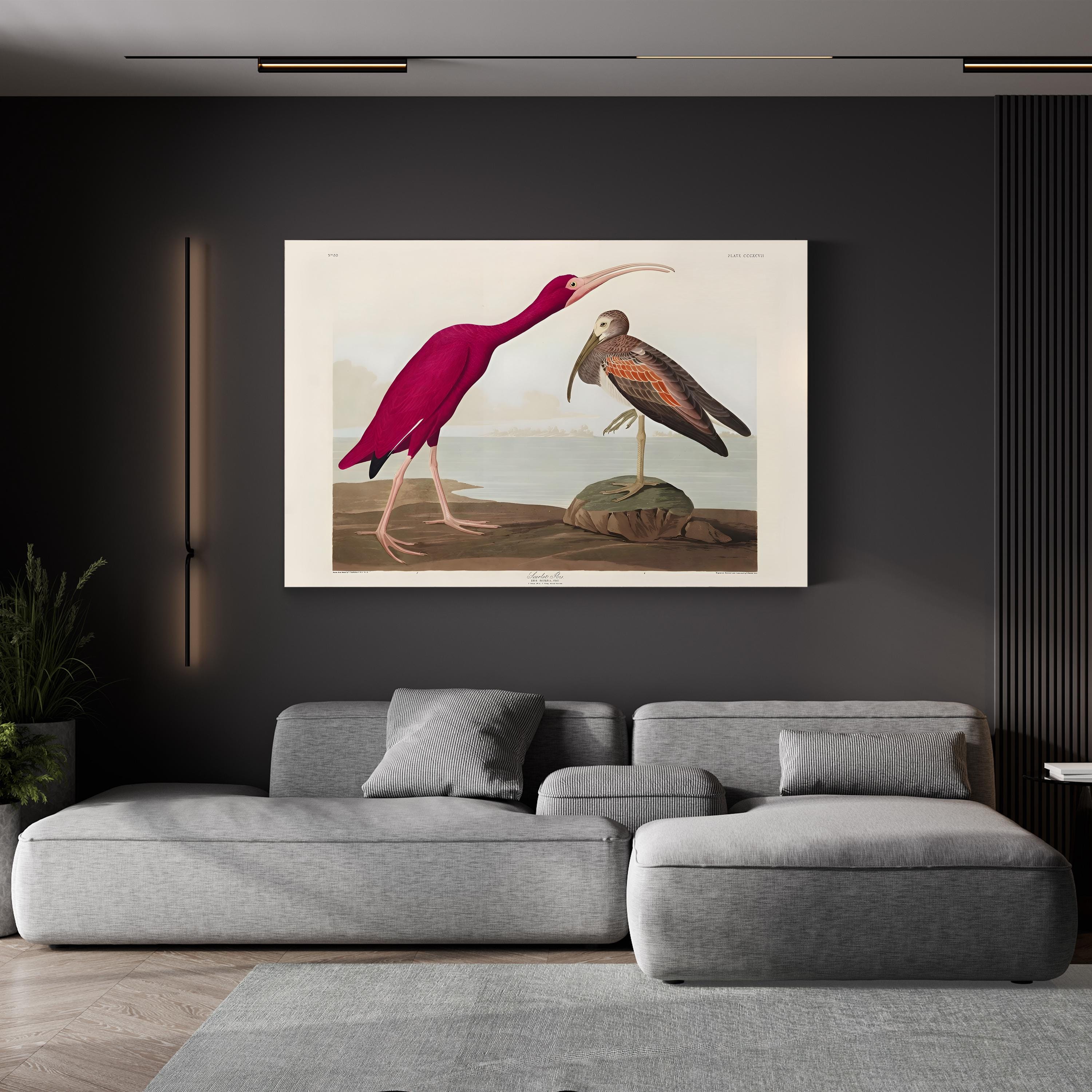 Scarlet Ibis Wall Art by John James Audubon – Classic Ornithological Bird Illustration Canvas