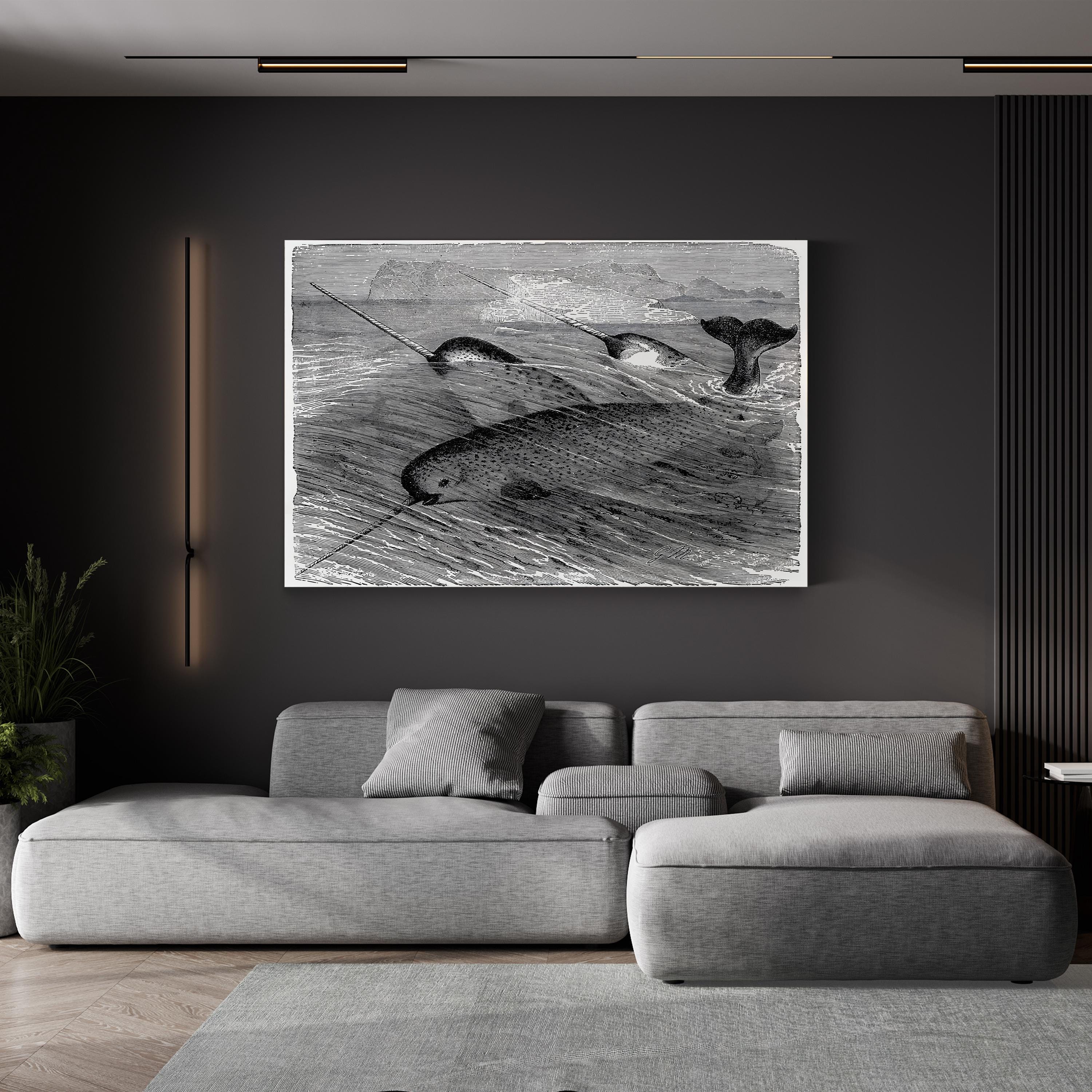 Vintage Narwhal – Period Illustration Wall Art | Black & White Ocean Wildlife Canvas Print