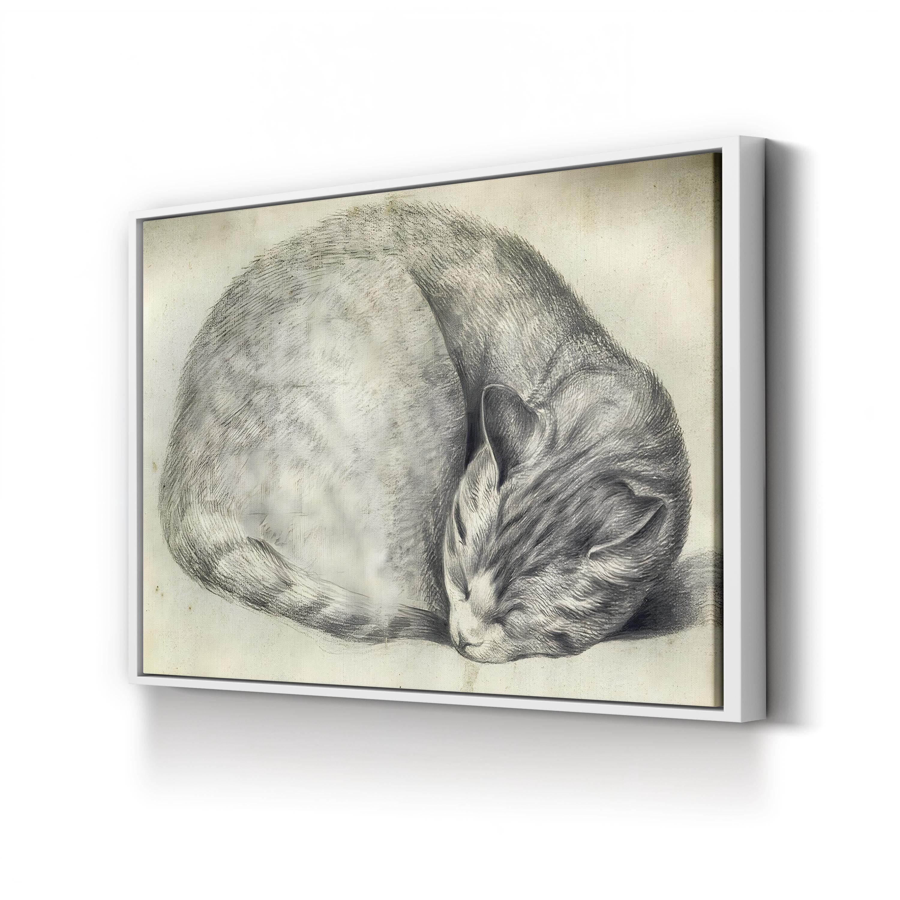 Sleeping Cat Canvas Art Print – Vintage Pencil Drawing, Animal Wall Art