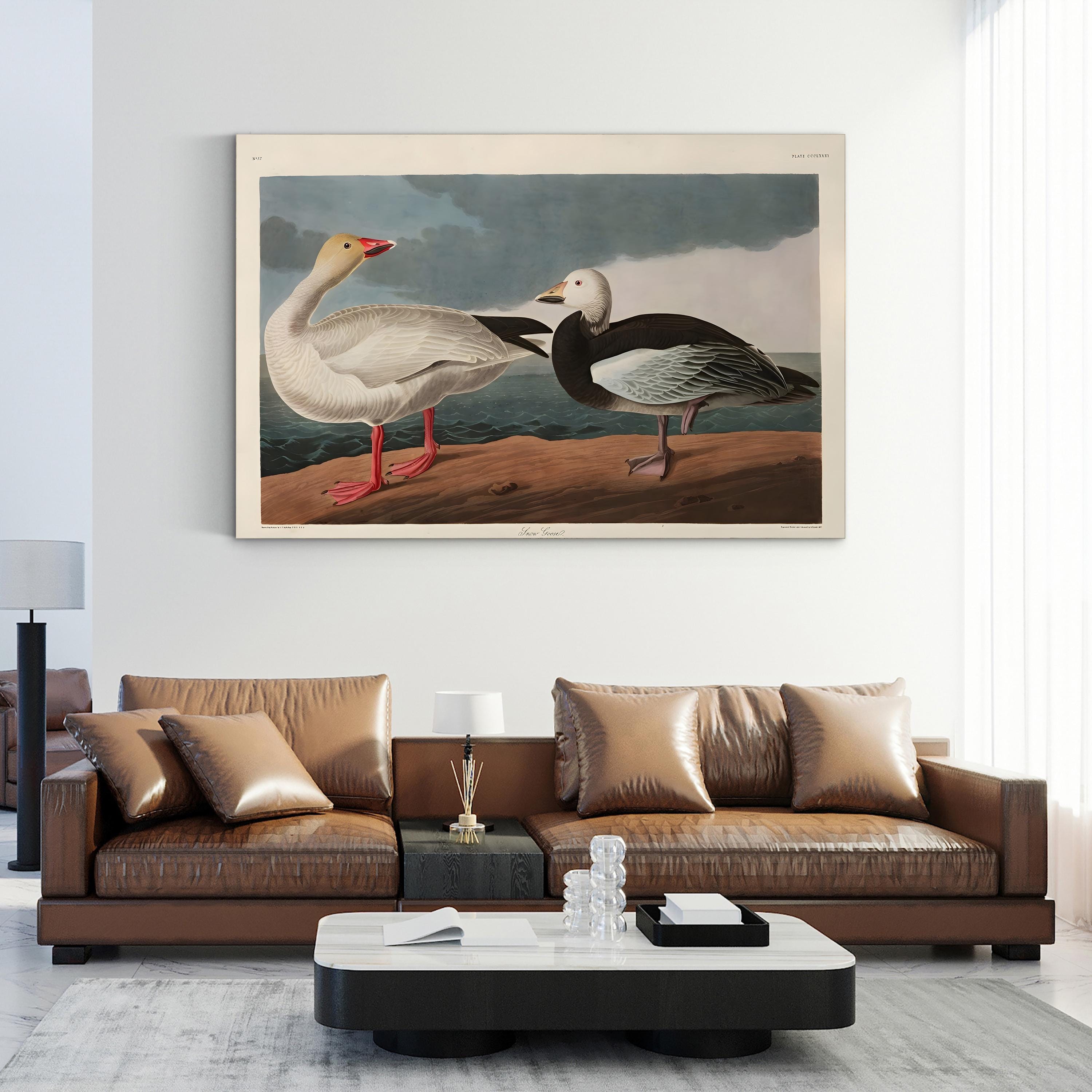 Vintage Snow Goose in Flight – Period Illustration Wall Art | Wildlife Canvas Print