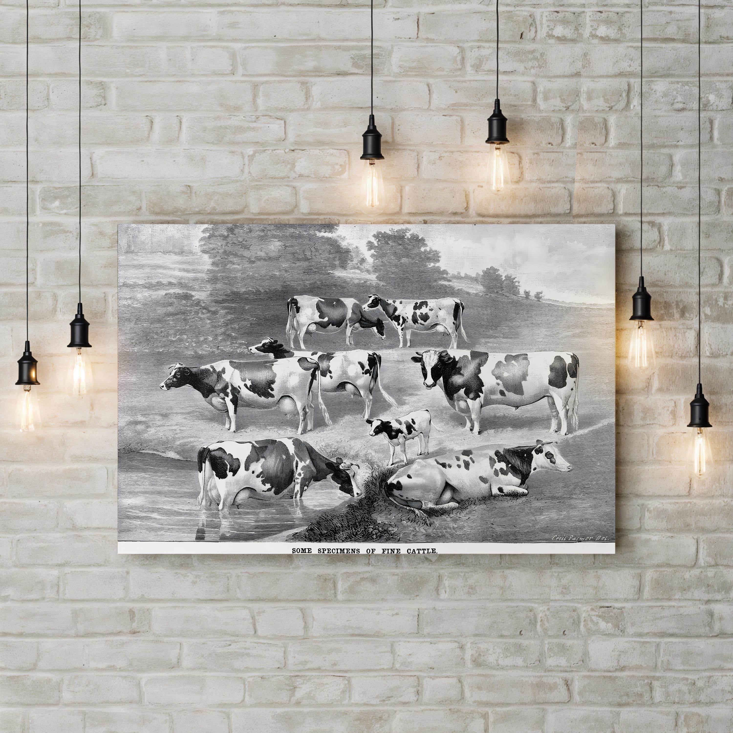 1884 Farmstead Cattle Farmhouse Canvas Wall Art