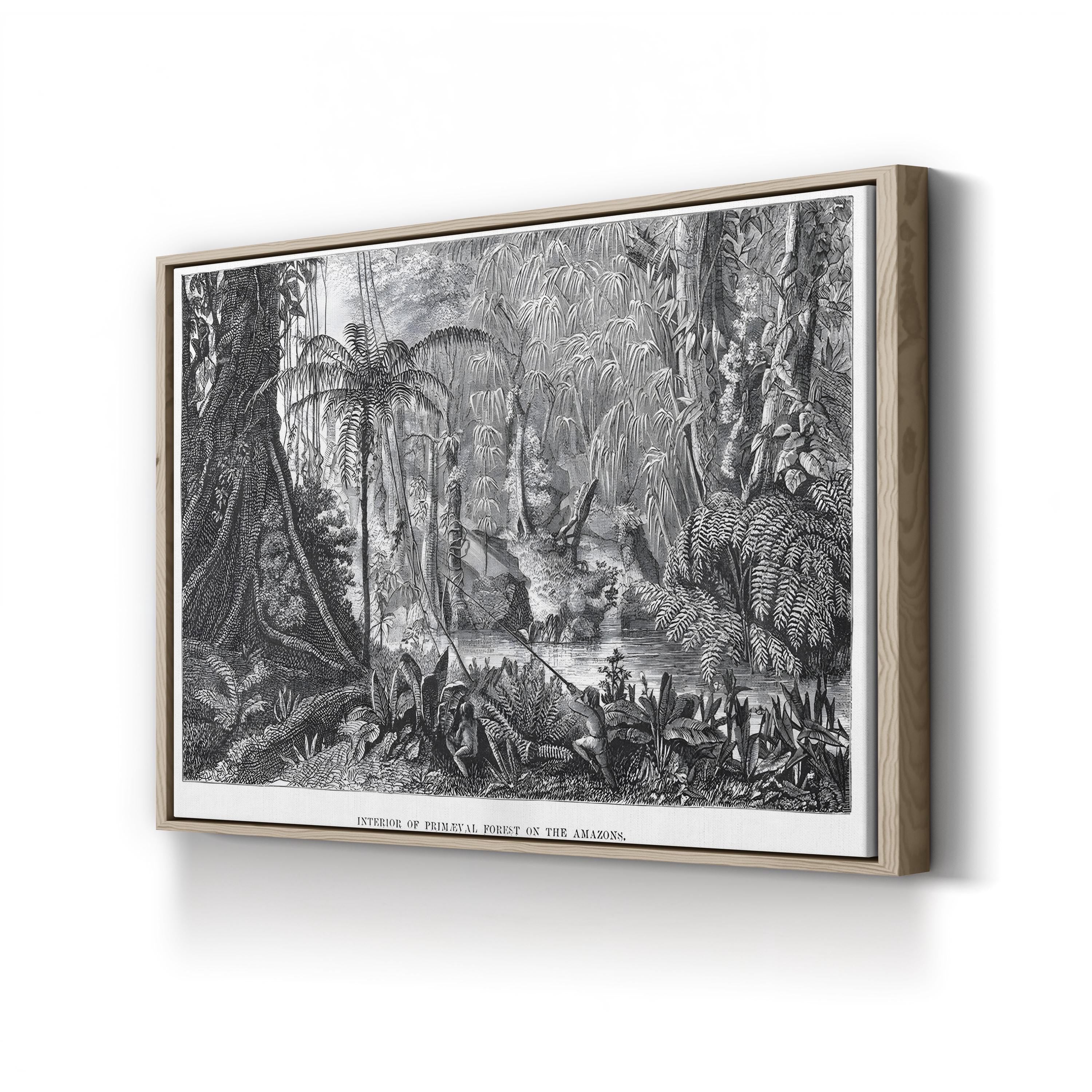 Vintage Amazon Rainforest Interior Canvas Print: Henry Walter Bates (1863)