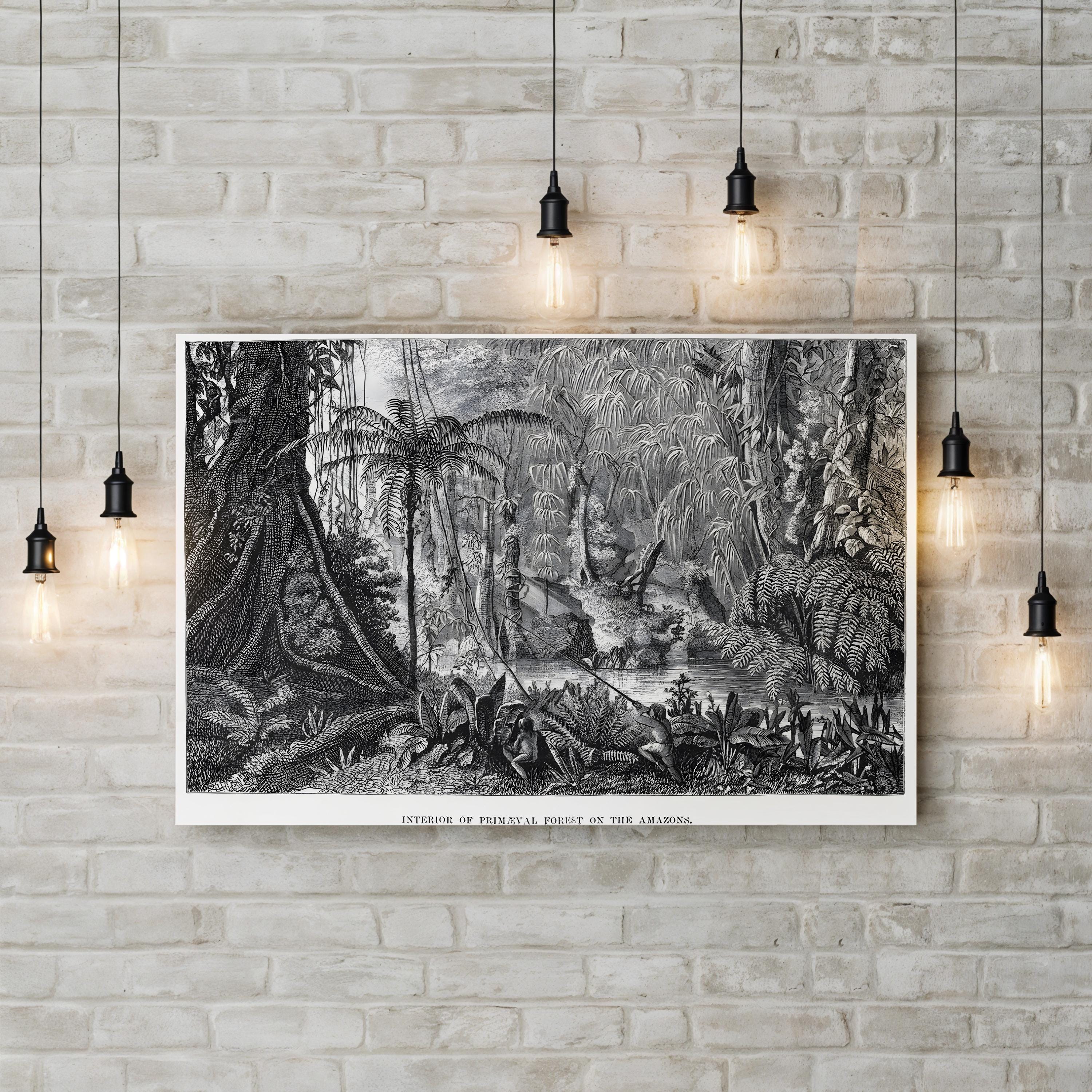 Vintage Amazon Rainforest Interior Canvas Print: Henry Walter Bates (1863)