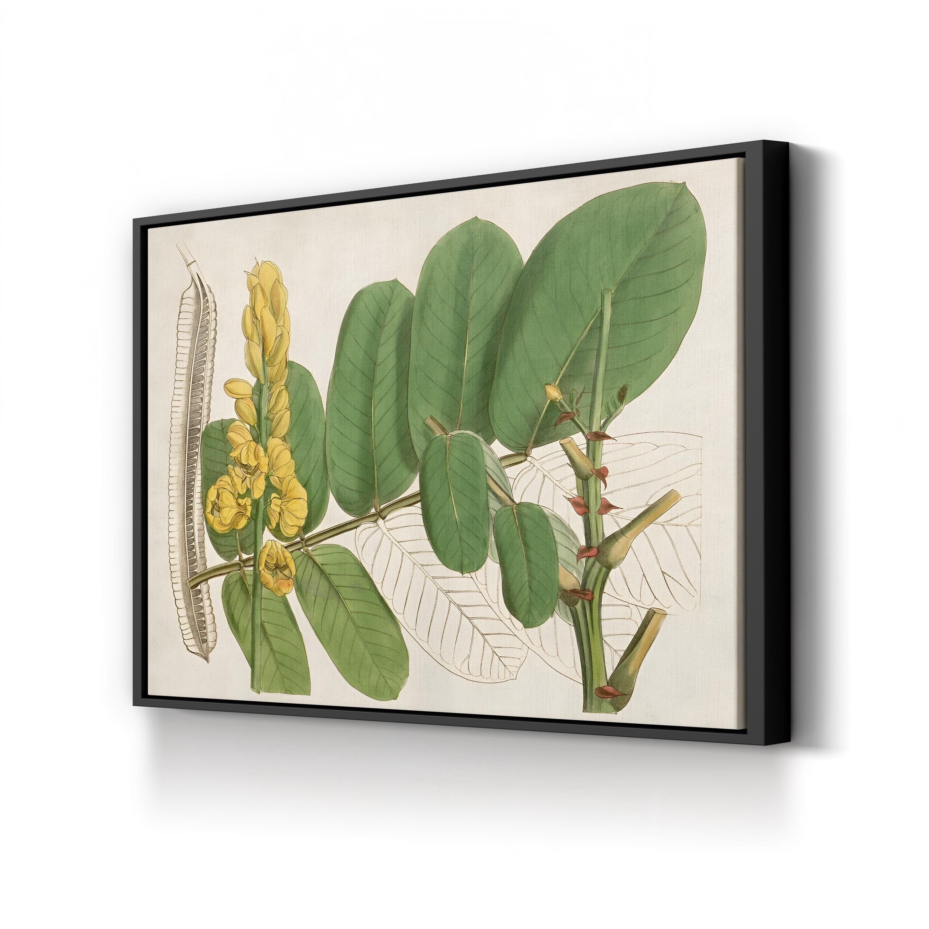 Tropical Foliage & Fruit II Canvas Print: Exotic Botanical Wall Art