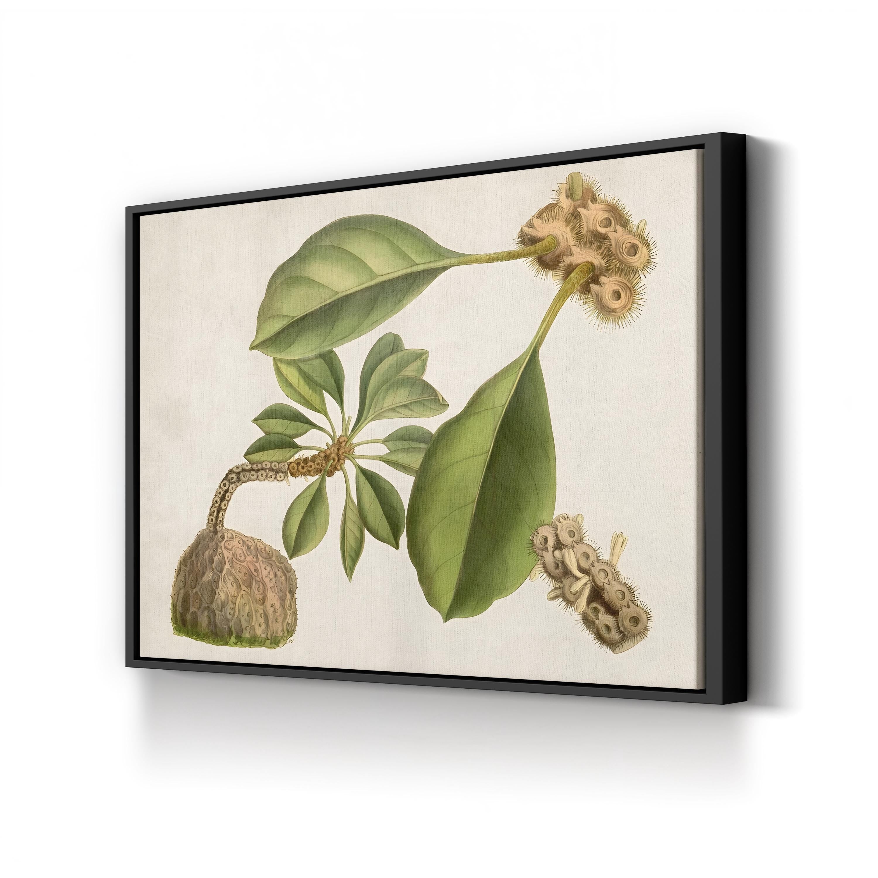 Botanical Tropical Foliage & Exotic Fruit by Curtis Art