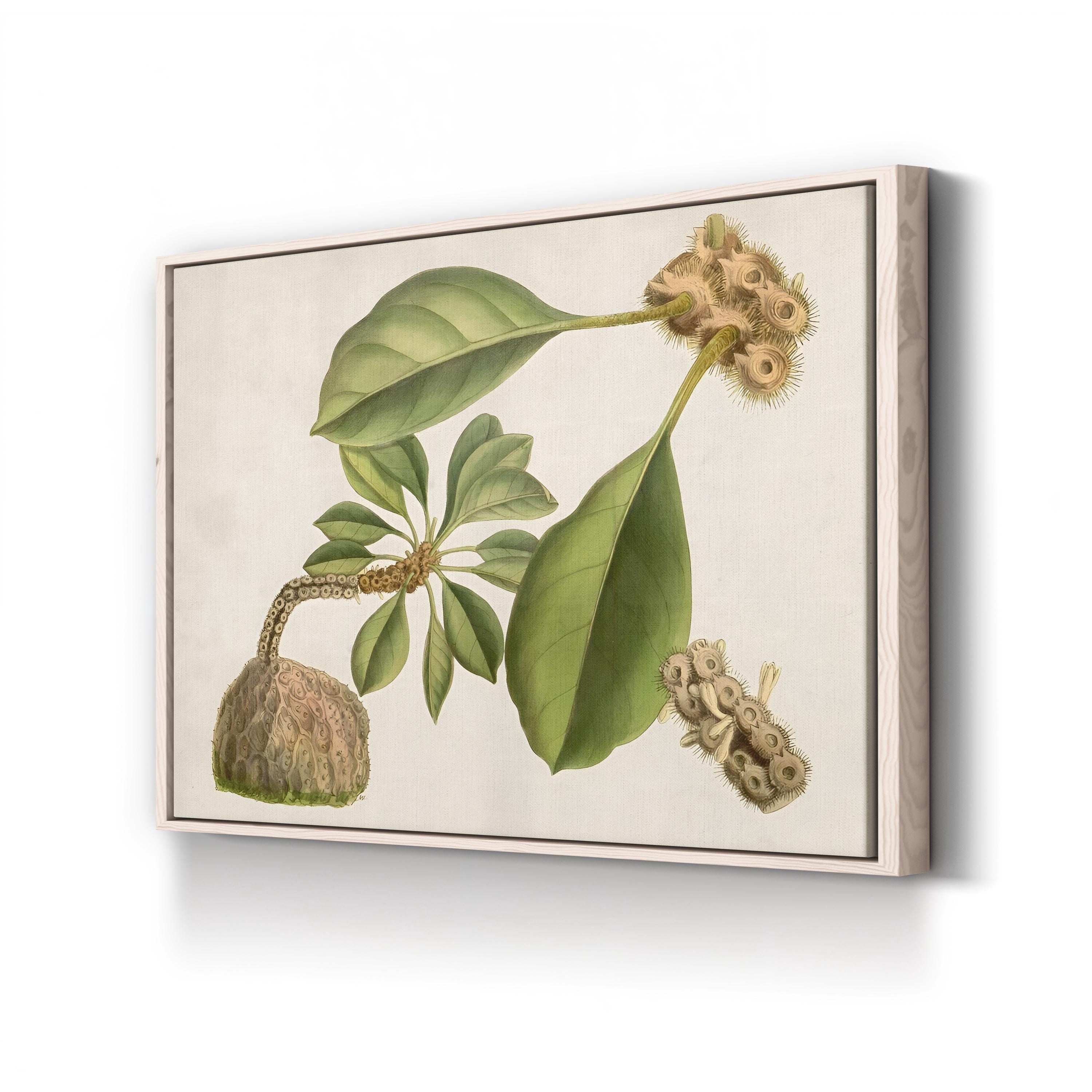 Botanical Tropical Foliage & Exotic Fruit by Curtis Art