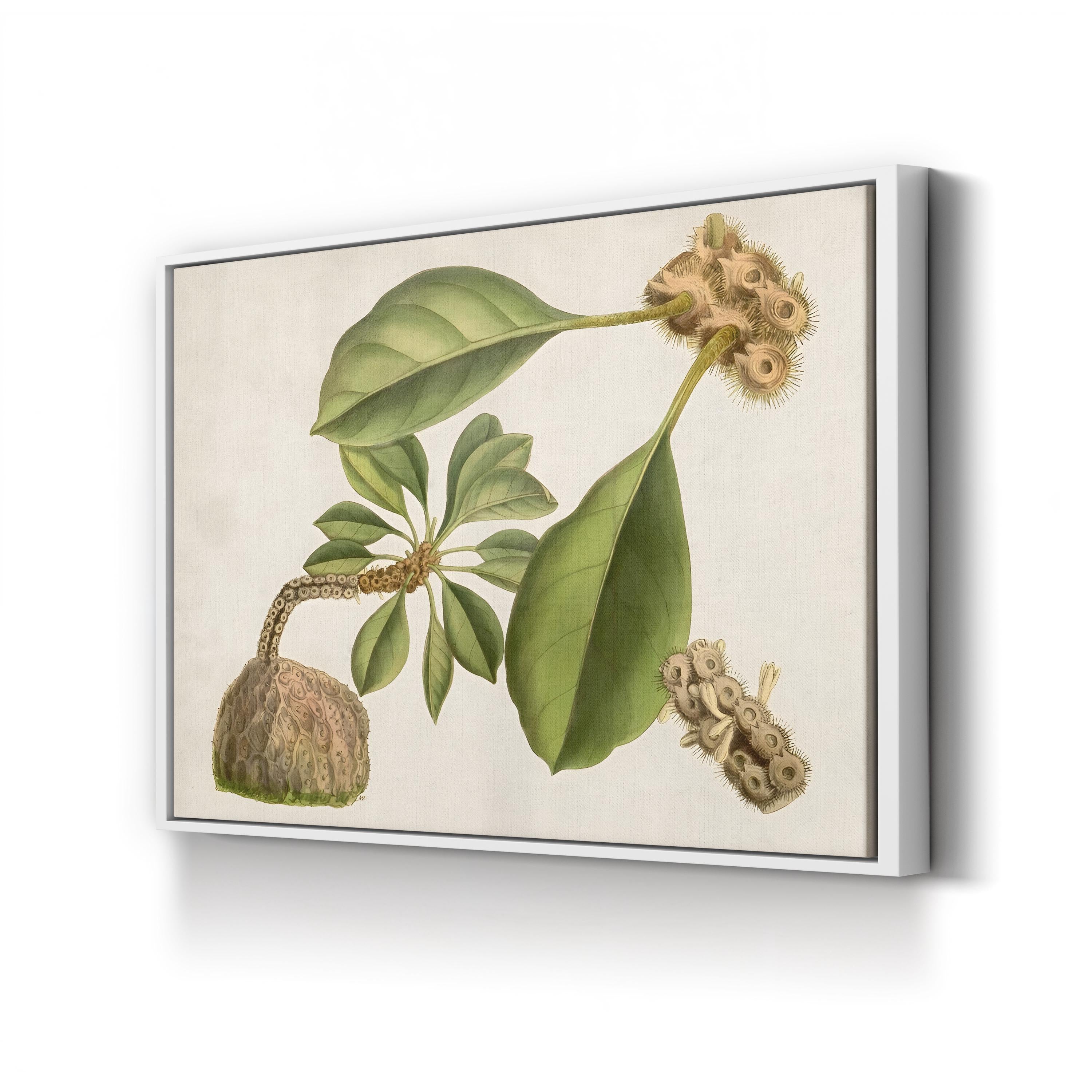 Botanical Tropical Foliage & Exotic Fruit by Curtis Art