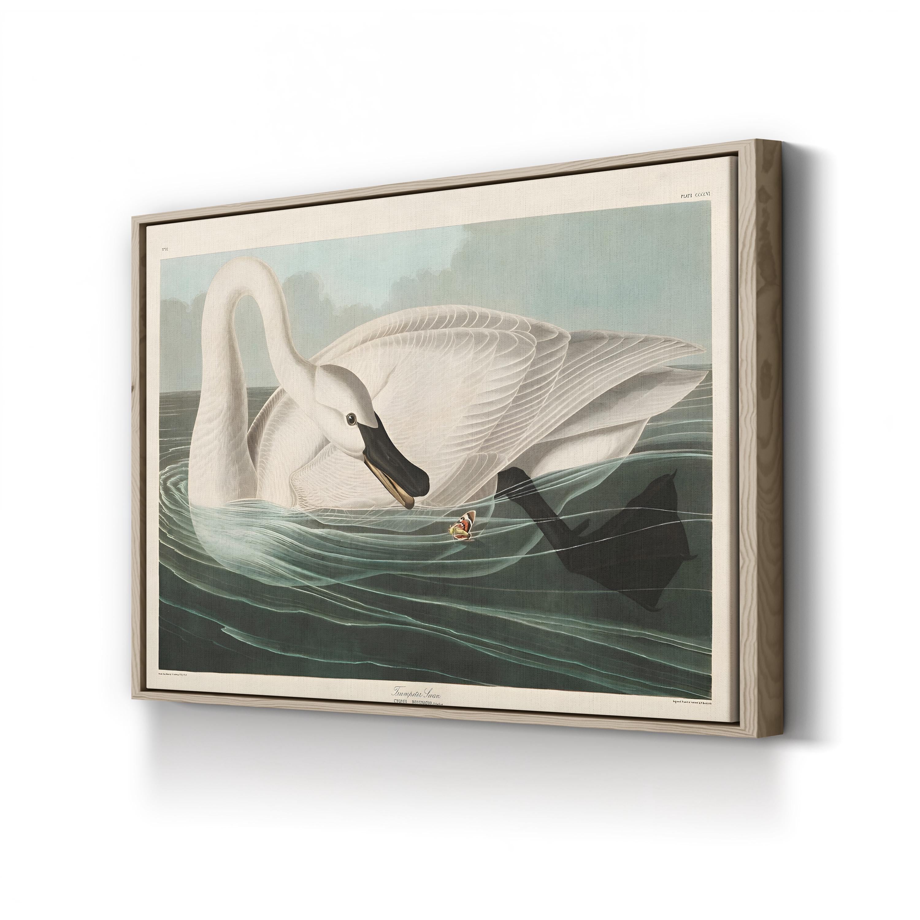 Trumpeter Swan Canvas Art Print: Vintage Wildlife Wall Art in Hand-Cut Wood Frame