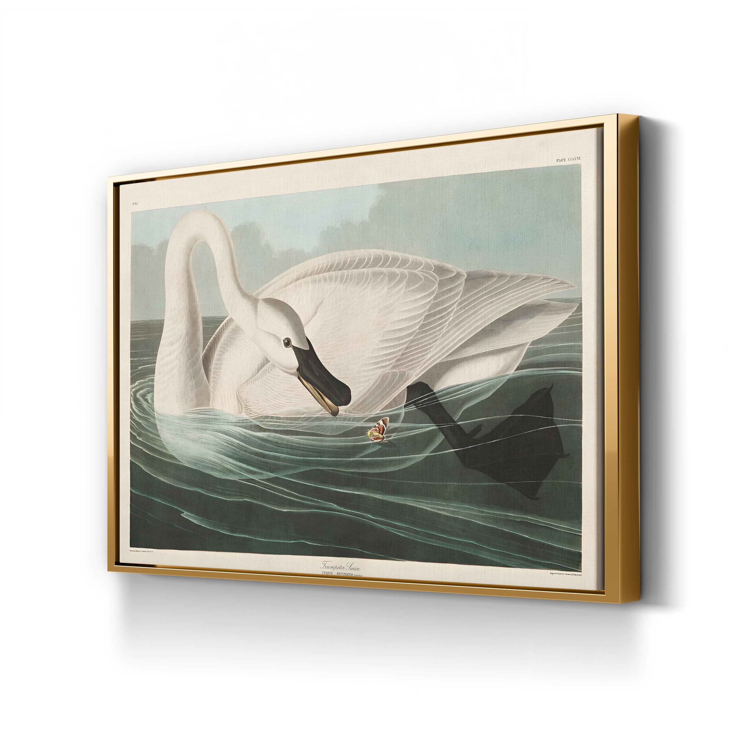 Trumpeter Swan Canvas Art Print: Vintage Wildlife Wall Art in Hand-Cut Wood Frame