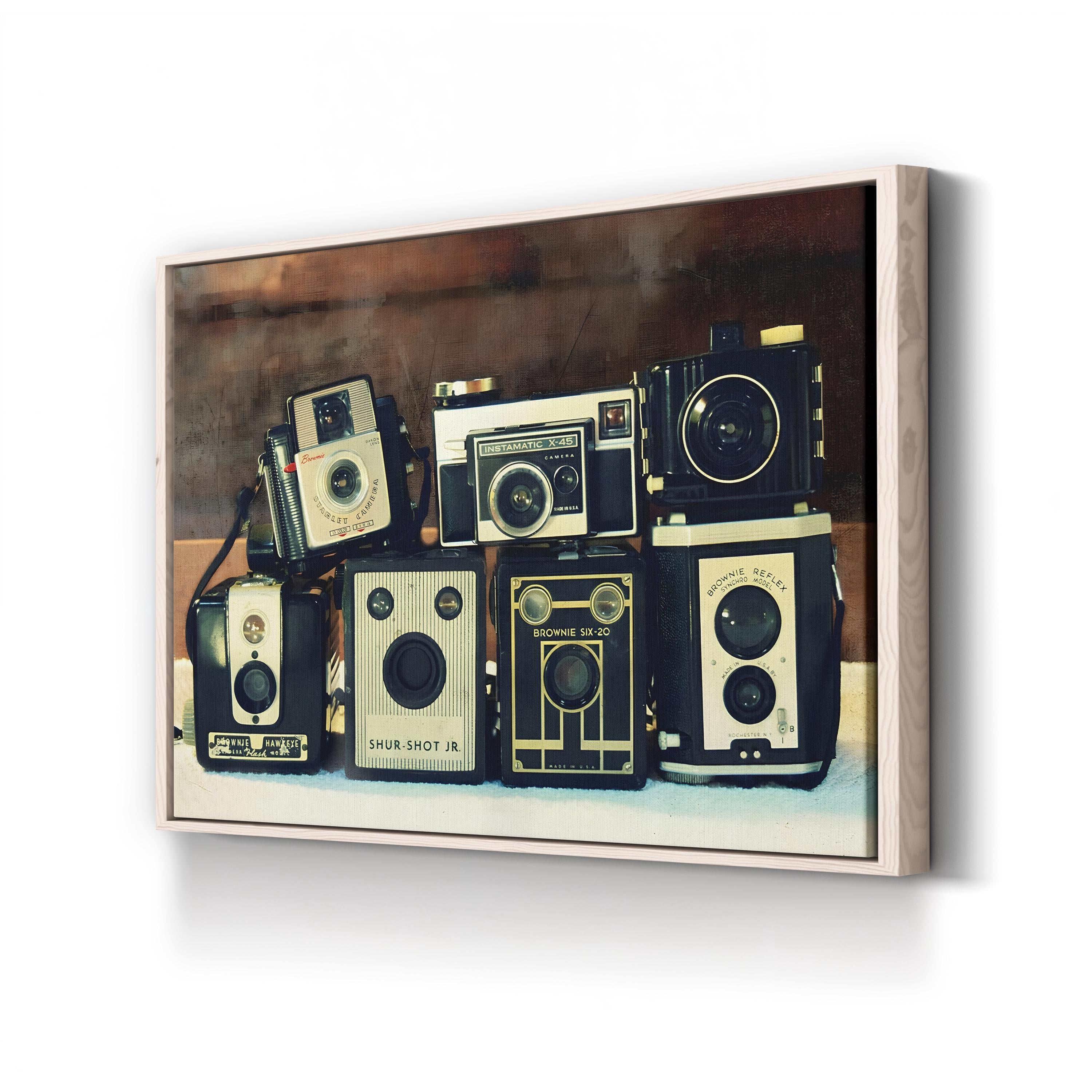 20th-Century Vintage Camera Still Life Canvas Print