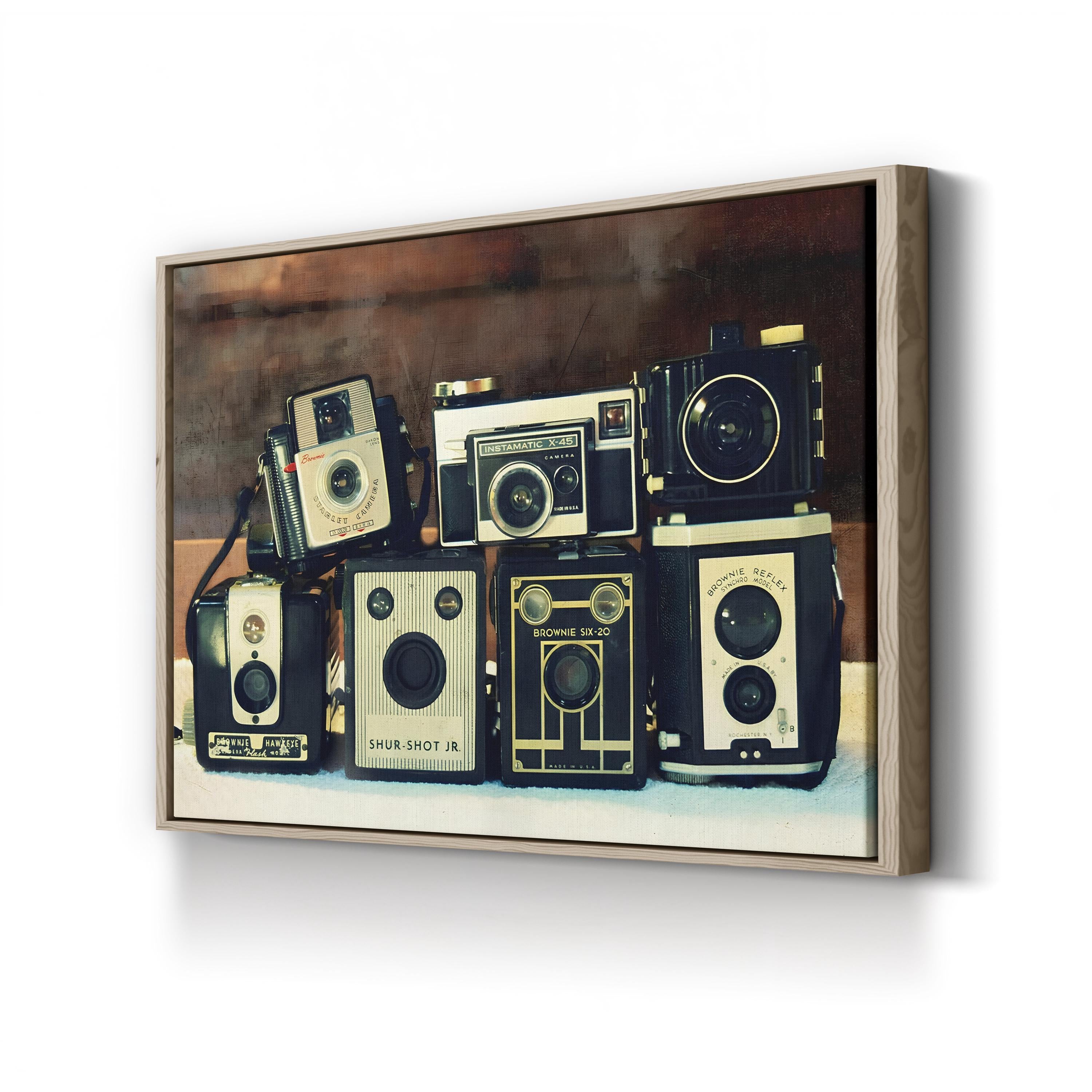 20th-Century Vintage Camera Still Life Canvas Print
