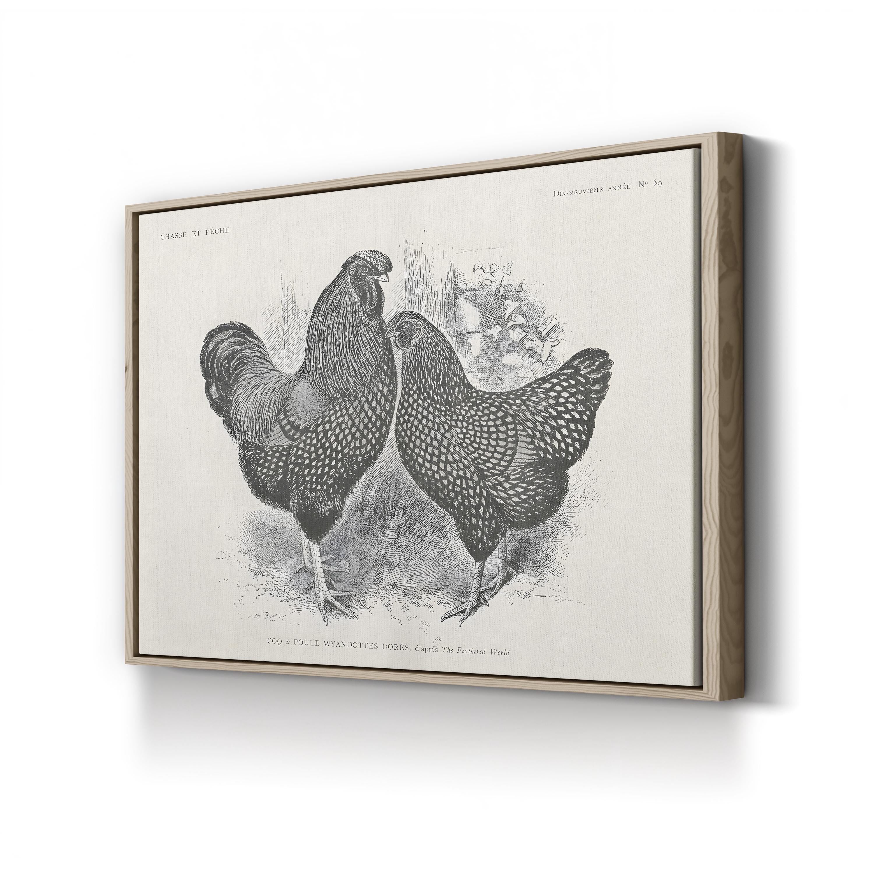 Farmhouse Rooster & Chickens – Period Illustration Wall Art | Black & White Etching Canvas Print
