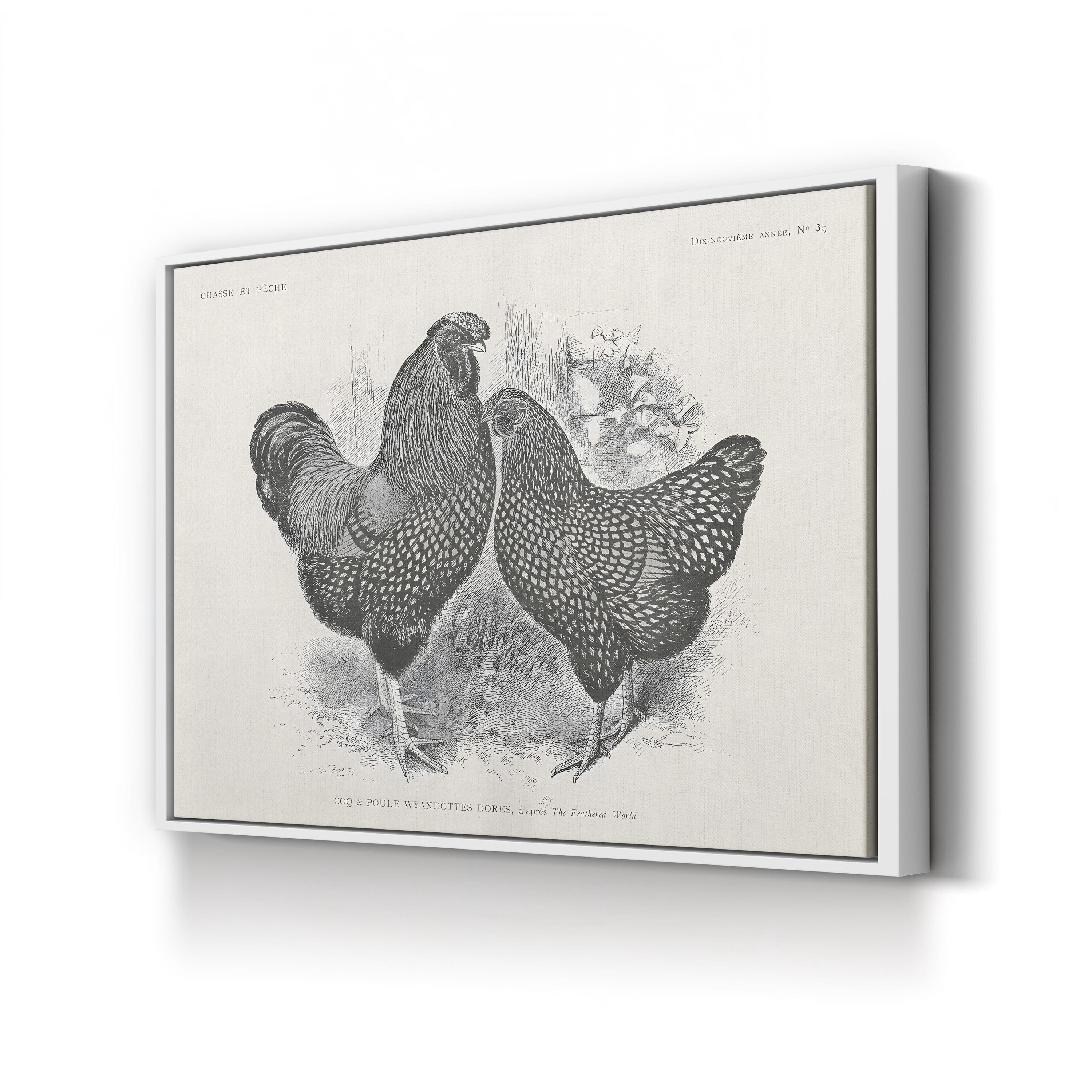 Farmhouse Rooster & Chickens – Period Illustration Wall Art | Black & White Etching Canvas Print
