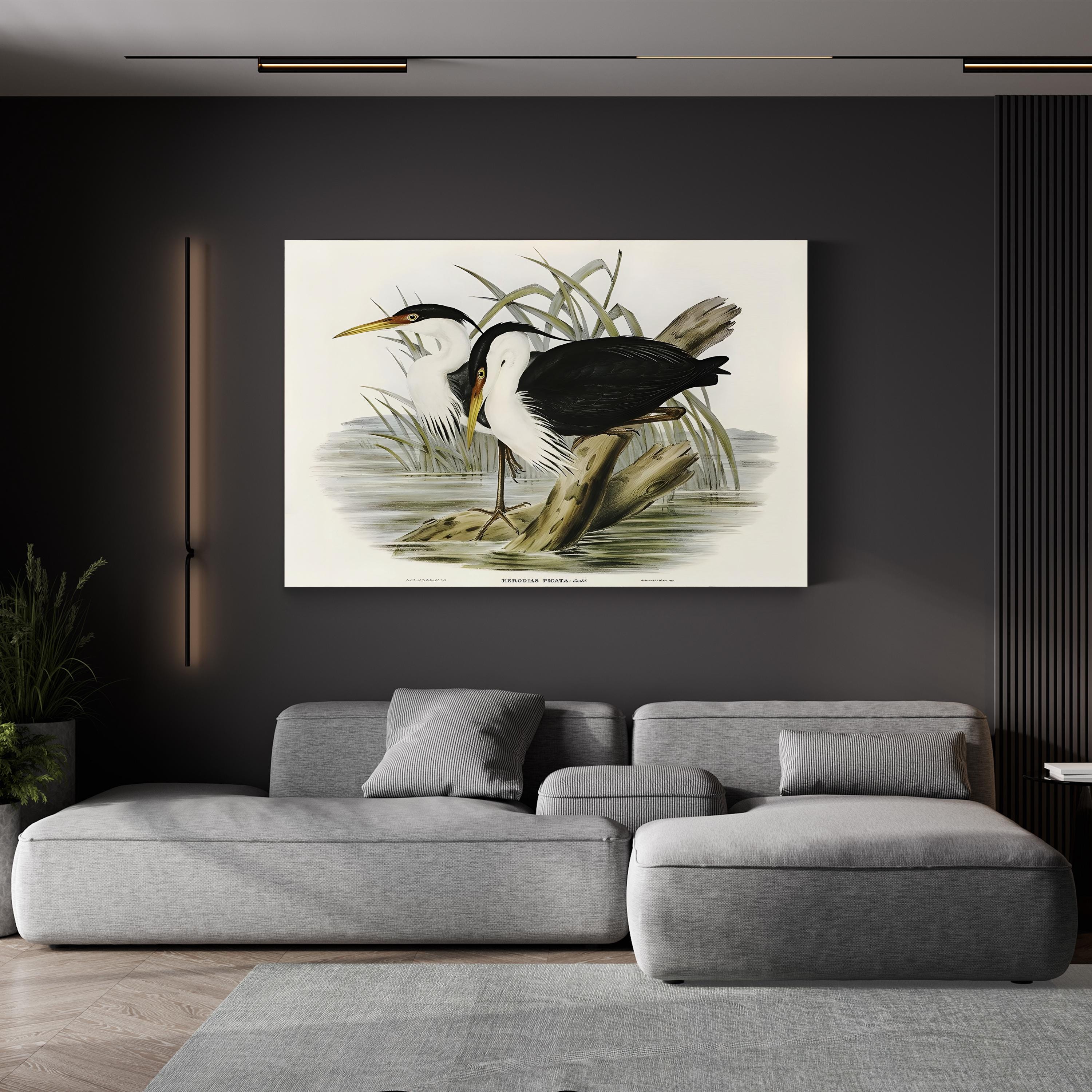 Vintage Heron Waterbird – Period Illustration Wall Art | Black & White Canvas Print