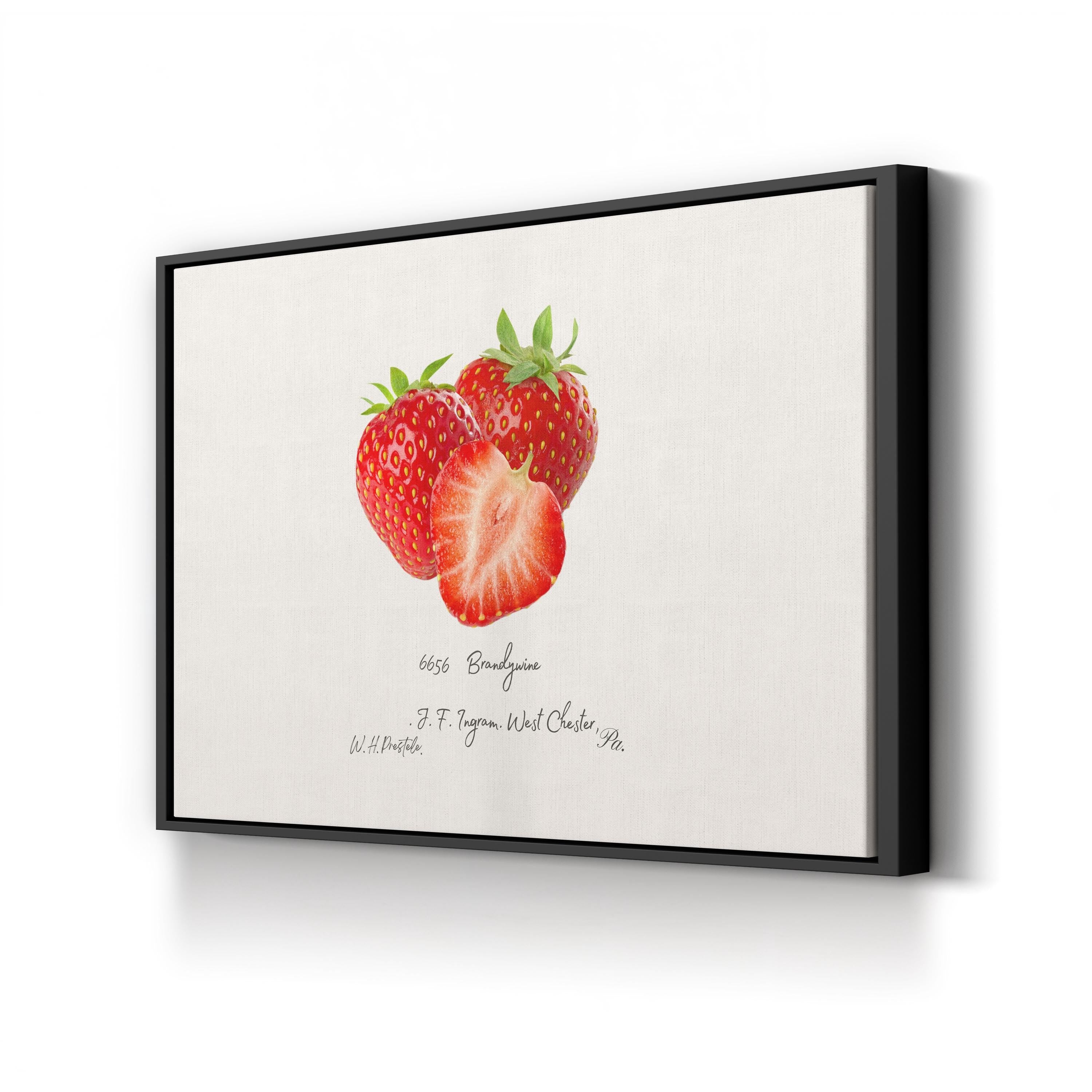 Strawberry Kitchen Wall Art – Vintage Botanical Fruit Illustration Canvas Print