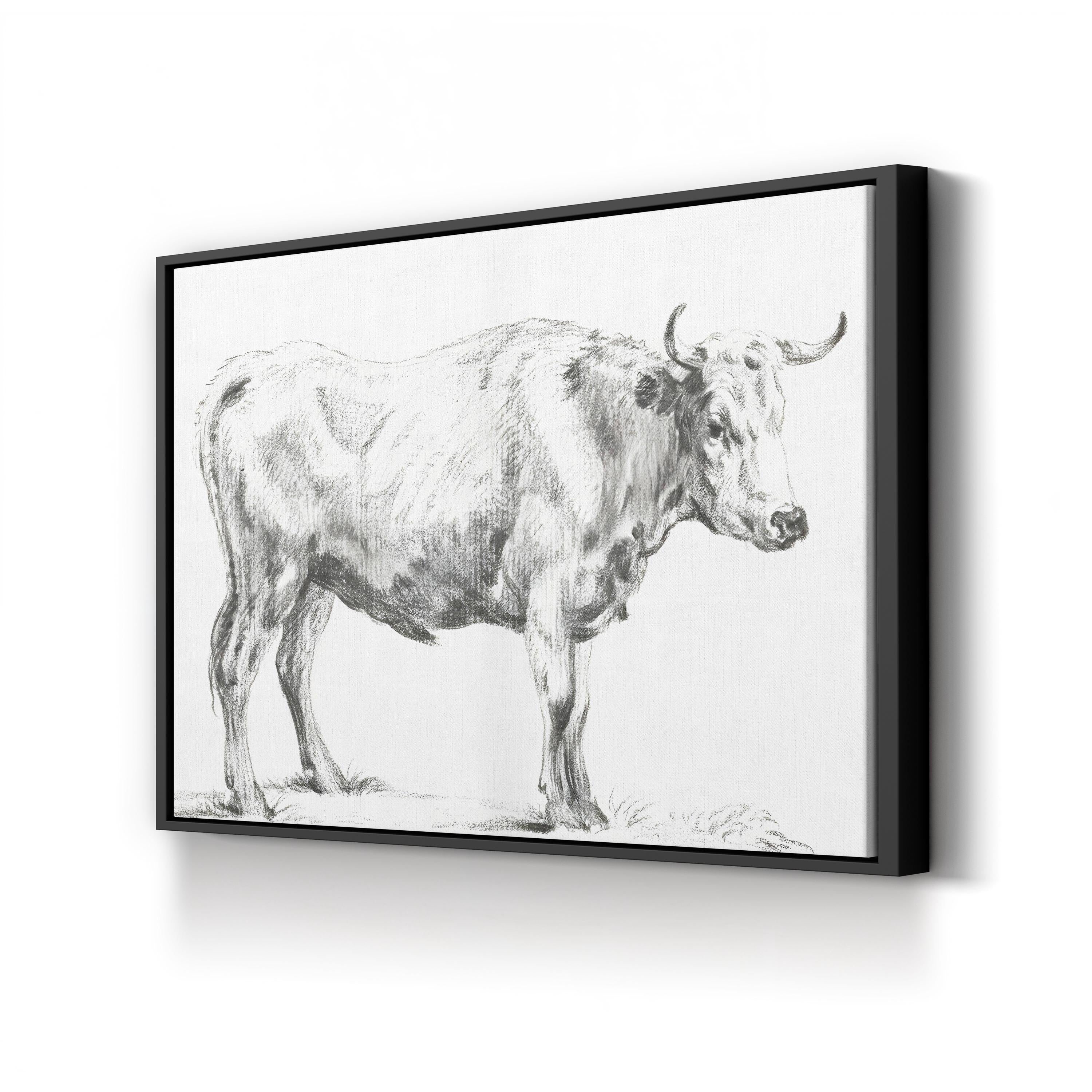 Bernard’s Bull Renderings Black and White Rustic II Wall Art by Jean Bernard