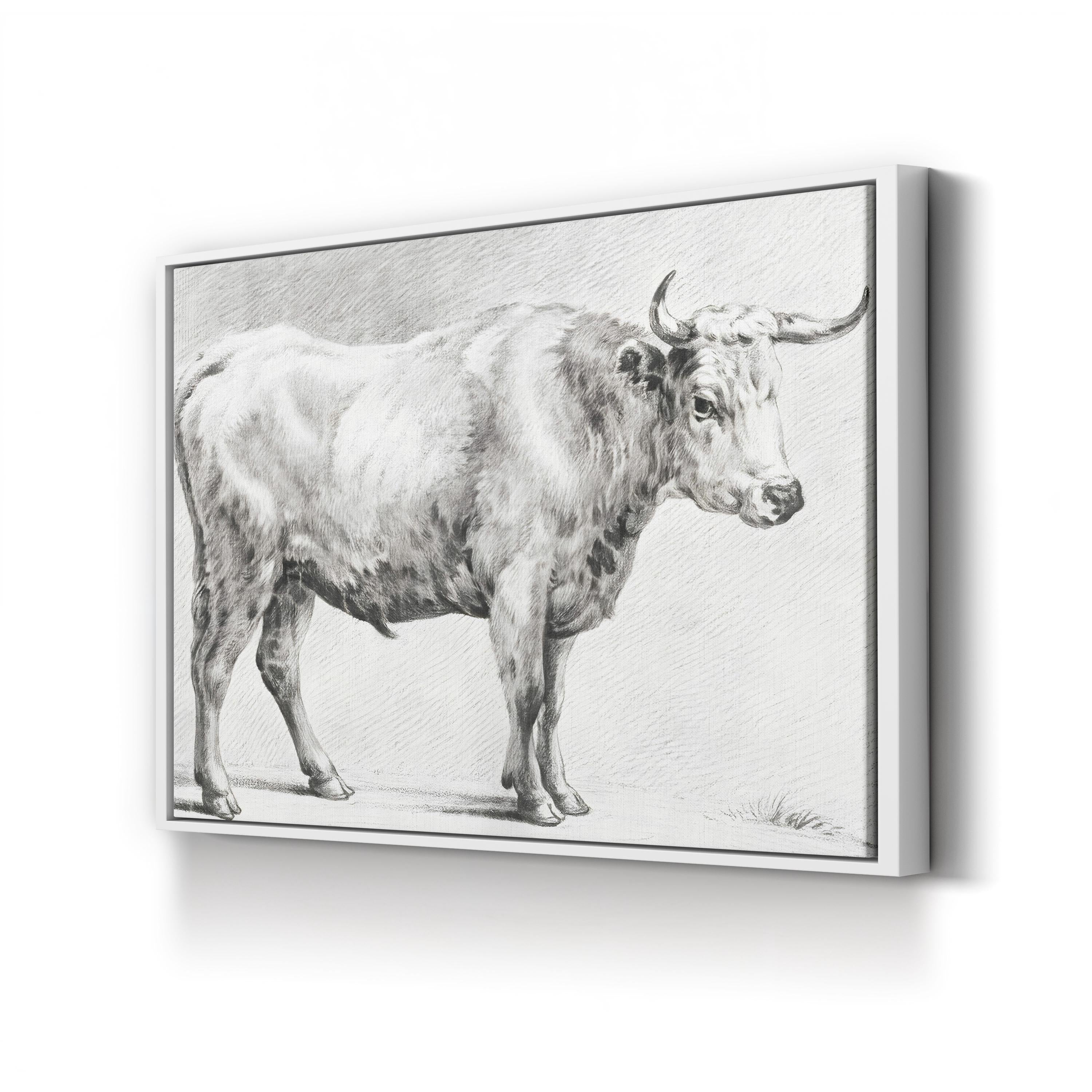 Bernard’s Bull Renderings Black and White Rustic IV Wall Art by Jean Bernard