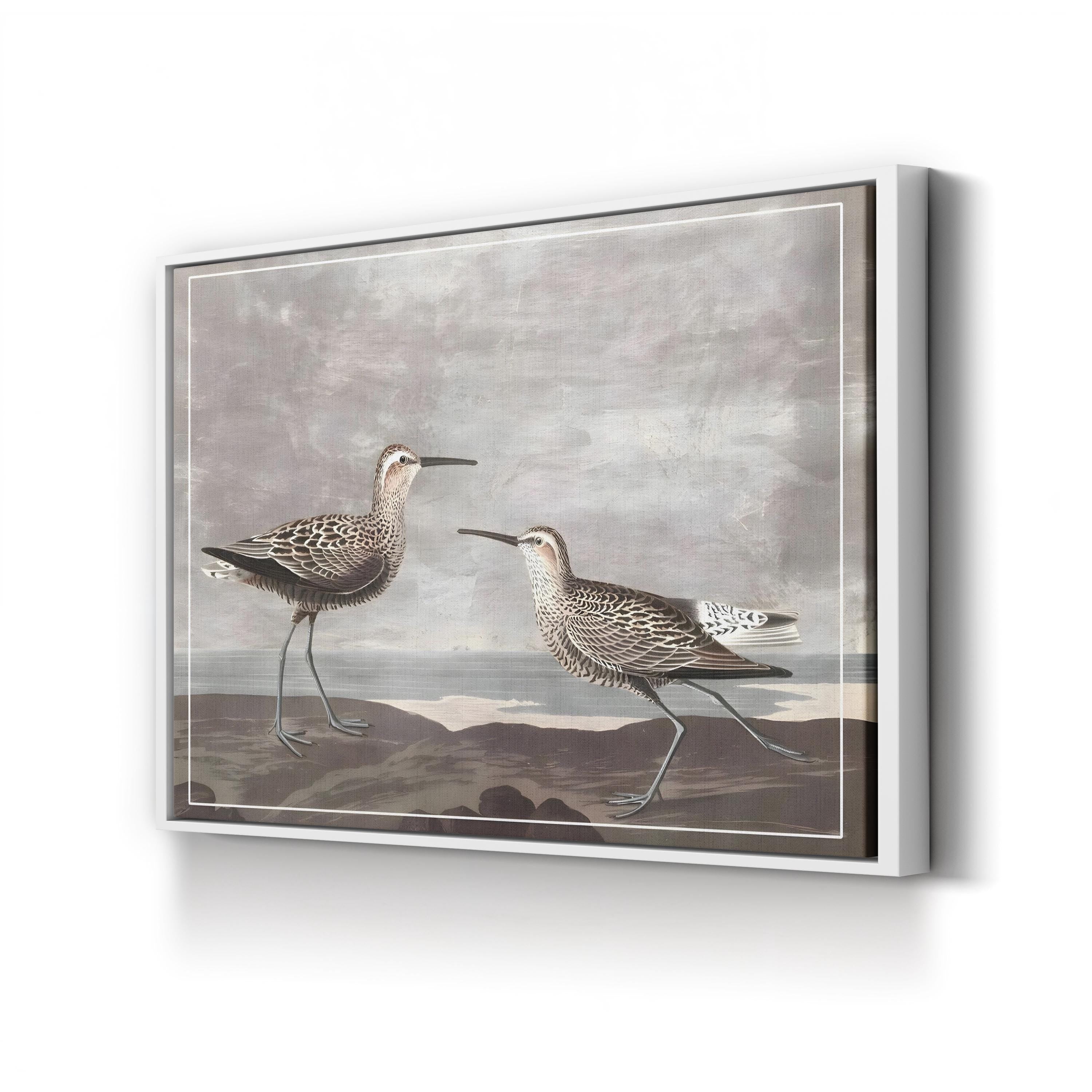 Gilded Sandpipers III – Audubon Shorebird Illustration Wall Art by John James Audubon