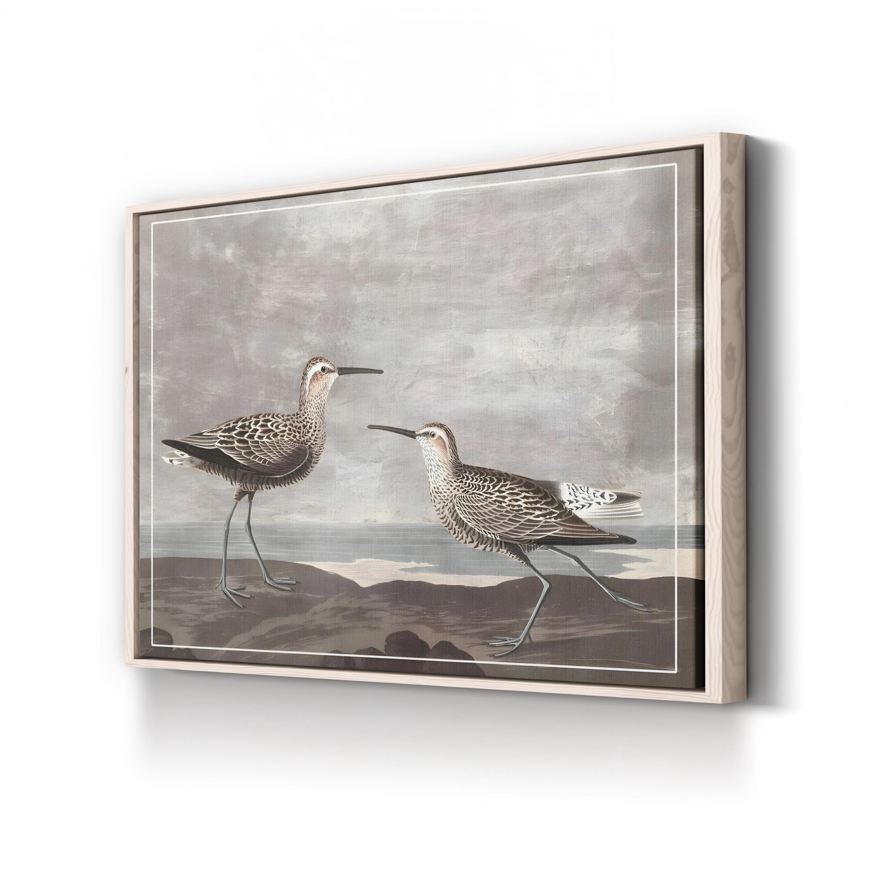 Gilded Sandpipers III – Audubon Shorebird Illustration Wall Art by John James Audubon