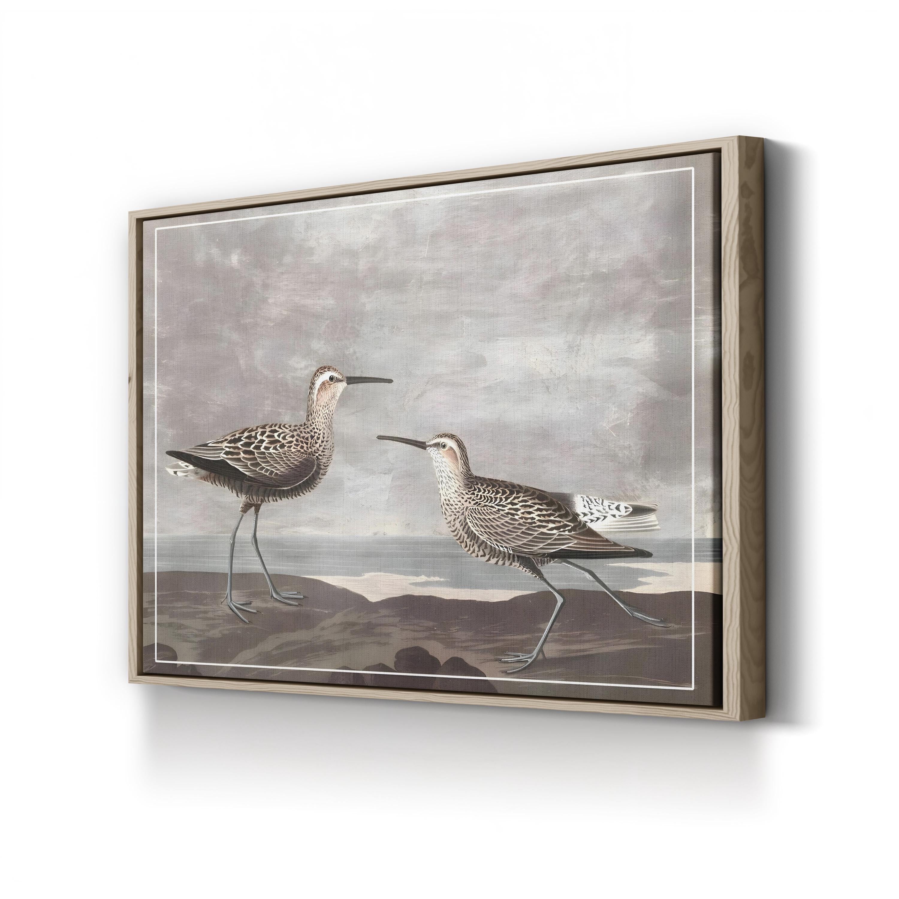 Gilded Sandpipers III – Audubon Shorebird Illustration Wall Art by John James Audubon