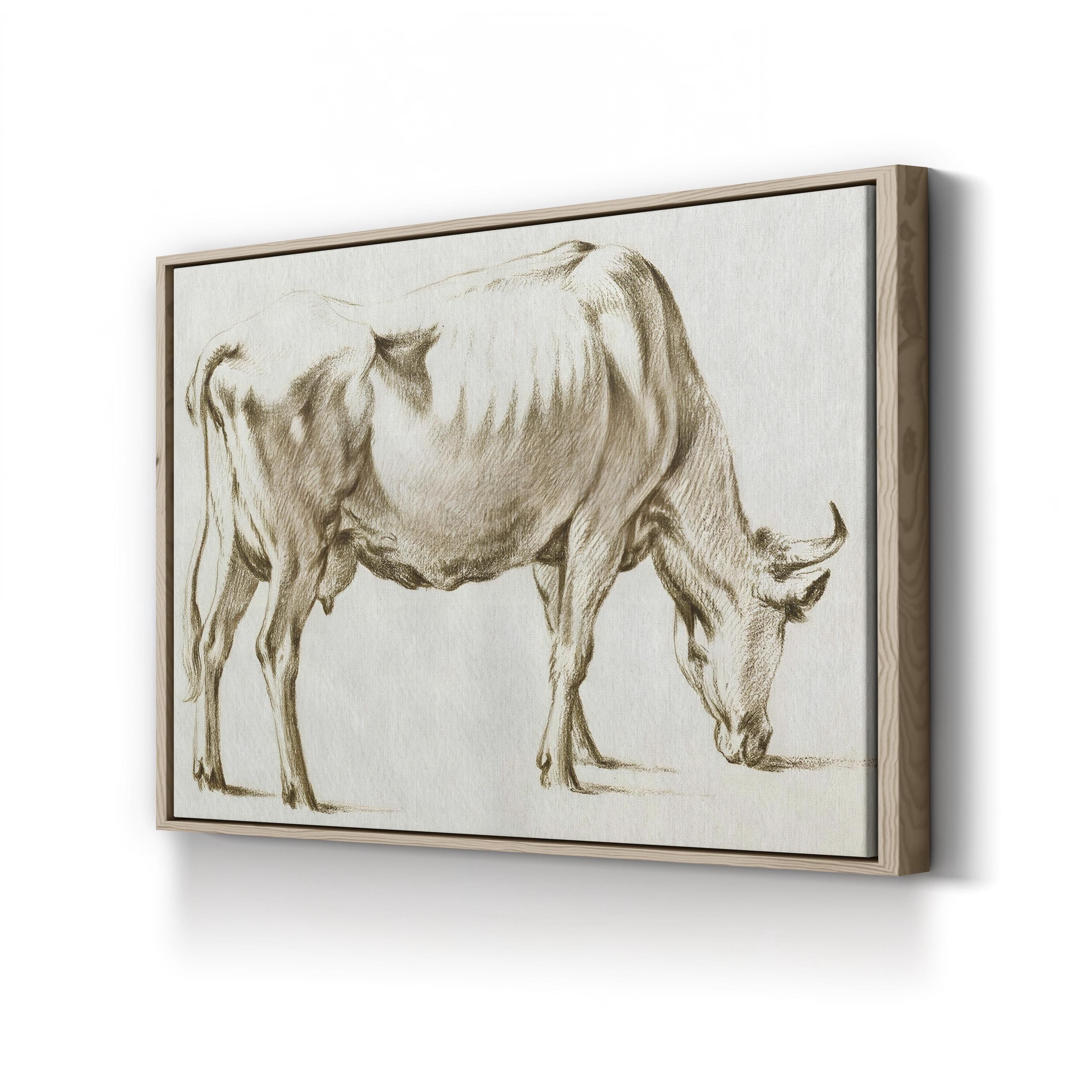 Sepia Grazing Cow Sketch I by Jean Bernard canvas print in Oak frame