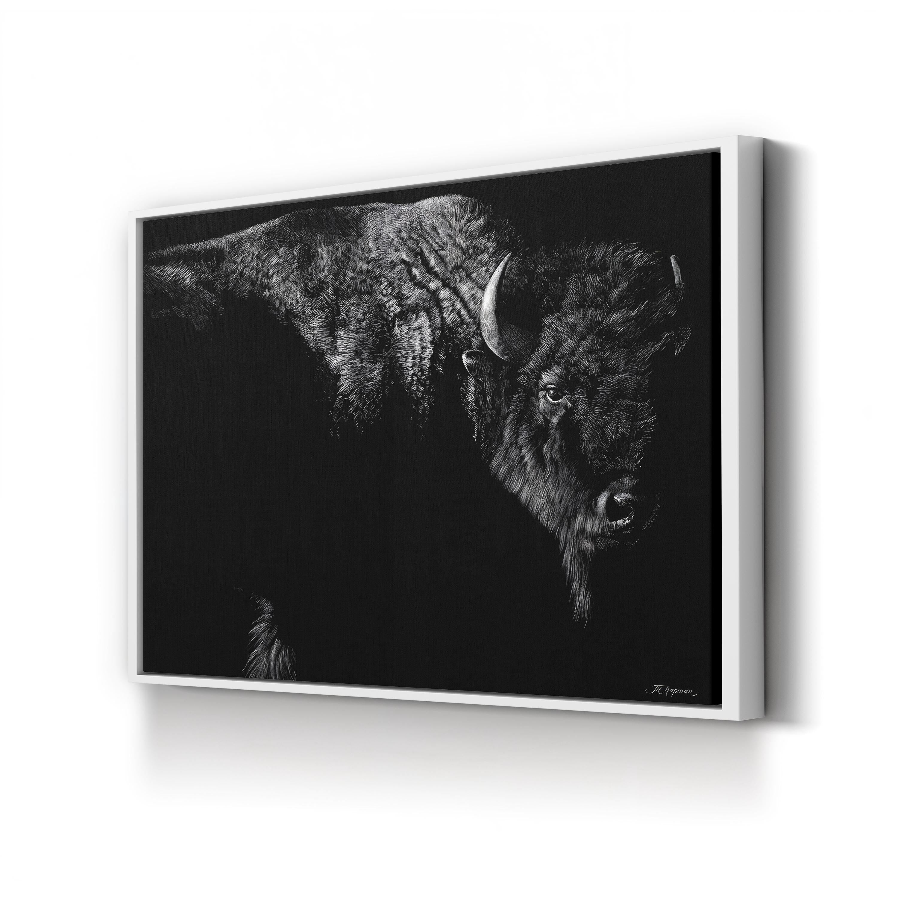 Enduring Wall Art by Julie Chapman | Black and White Bison Wildlife Canvas Print