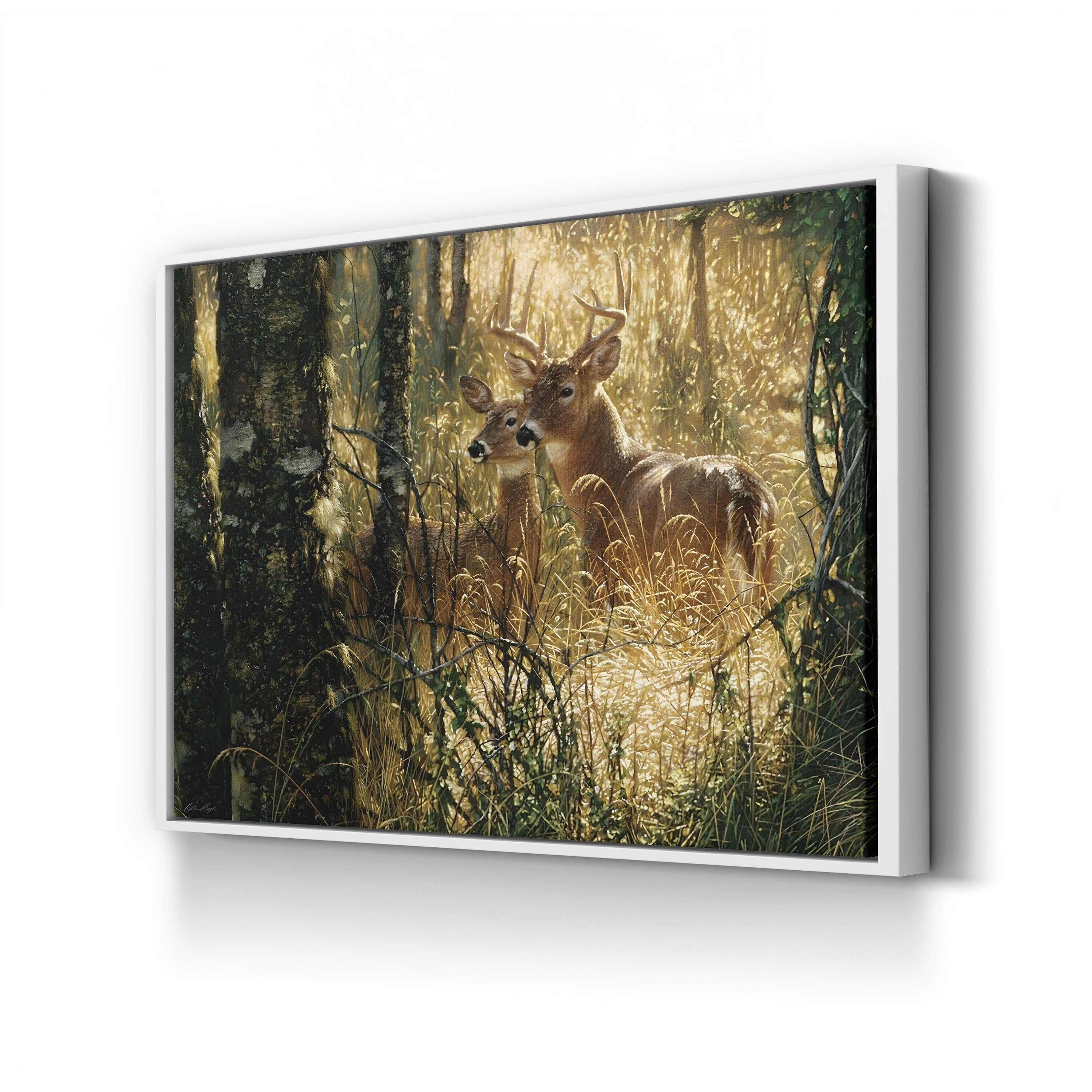 Whitetail Deer in Misty Forest – Vintage Photography Wall Art | Wildlife Canvas Print