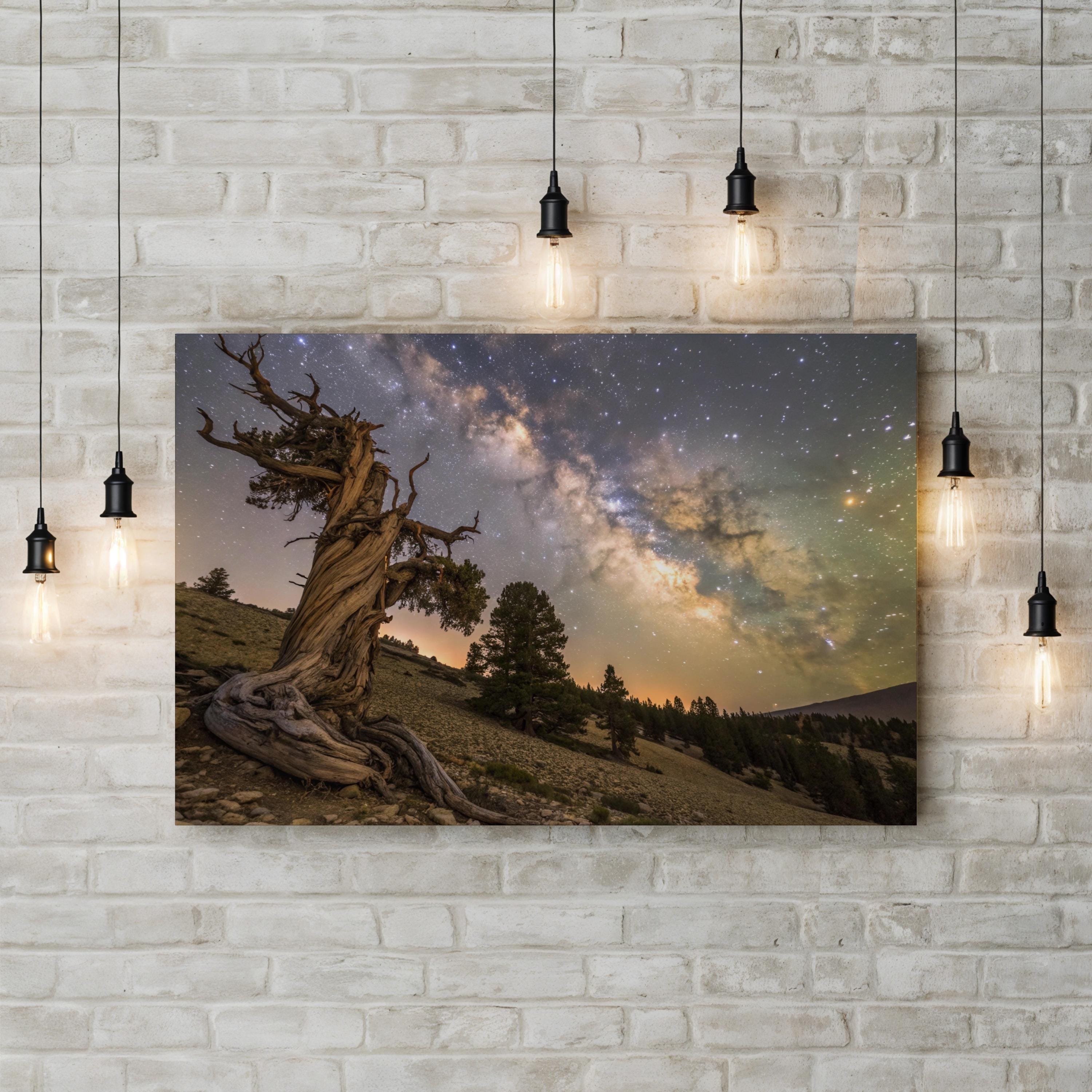 Bristlecone Pine – Vintage Photography Wall Art | California Mountain Canvas Print